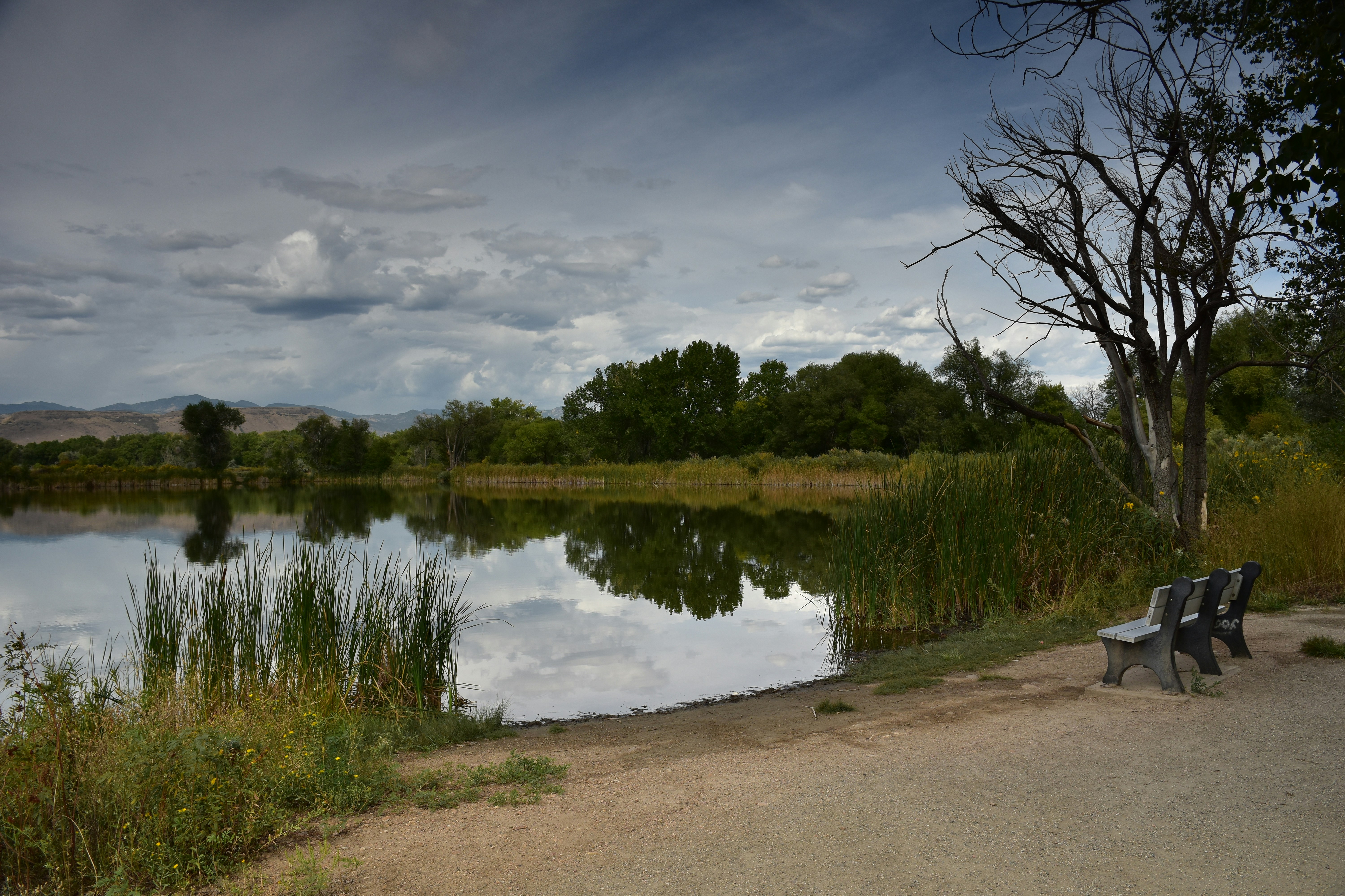 Tranquil lake with benches under a cloudy sky