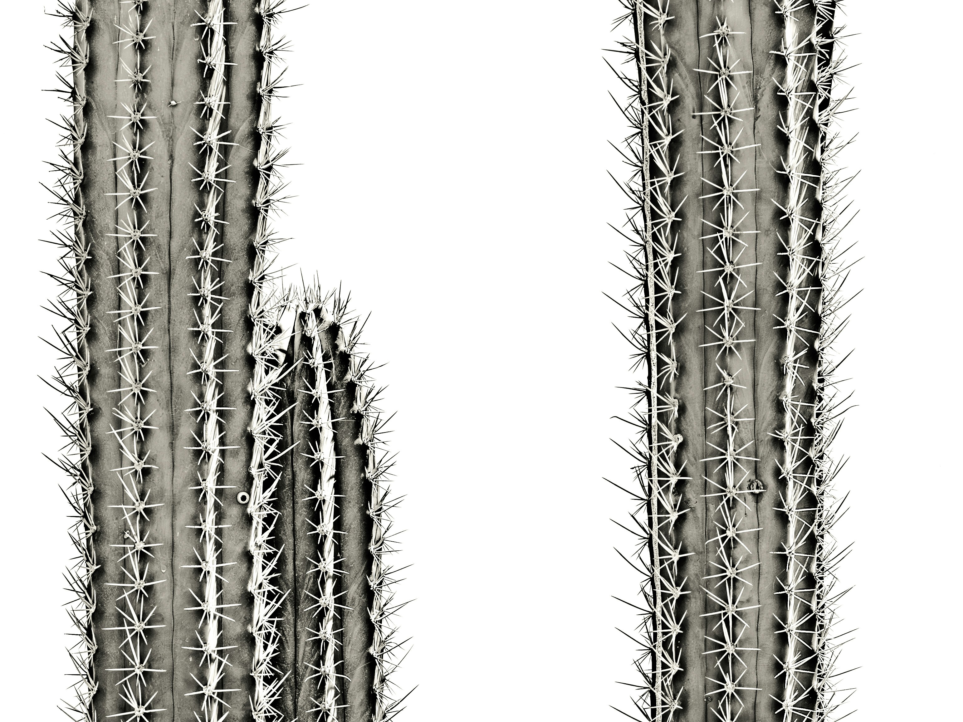 Photo by sschusterphotoart