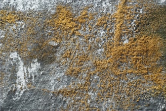 Rough textured concrete wall with yellow lichen growth