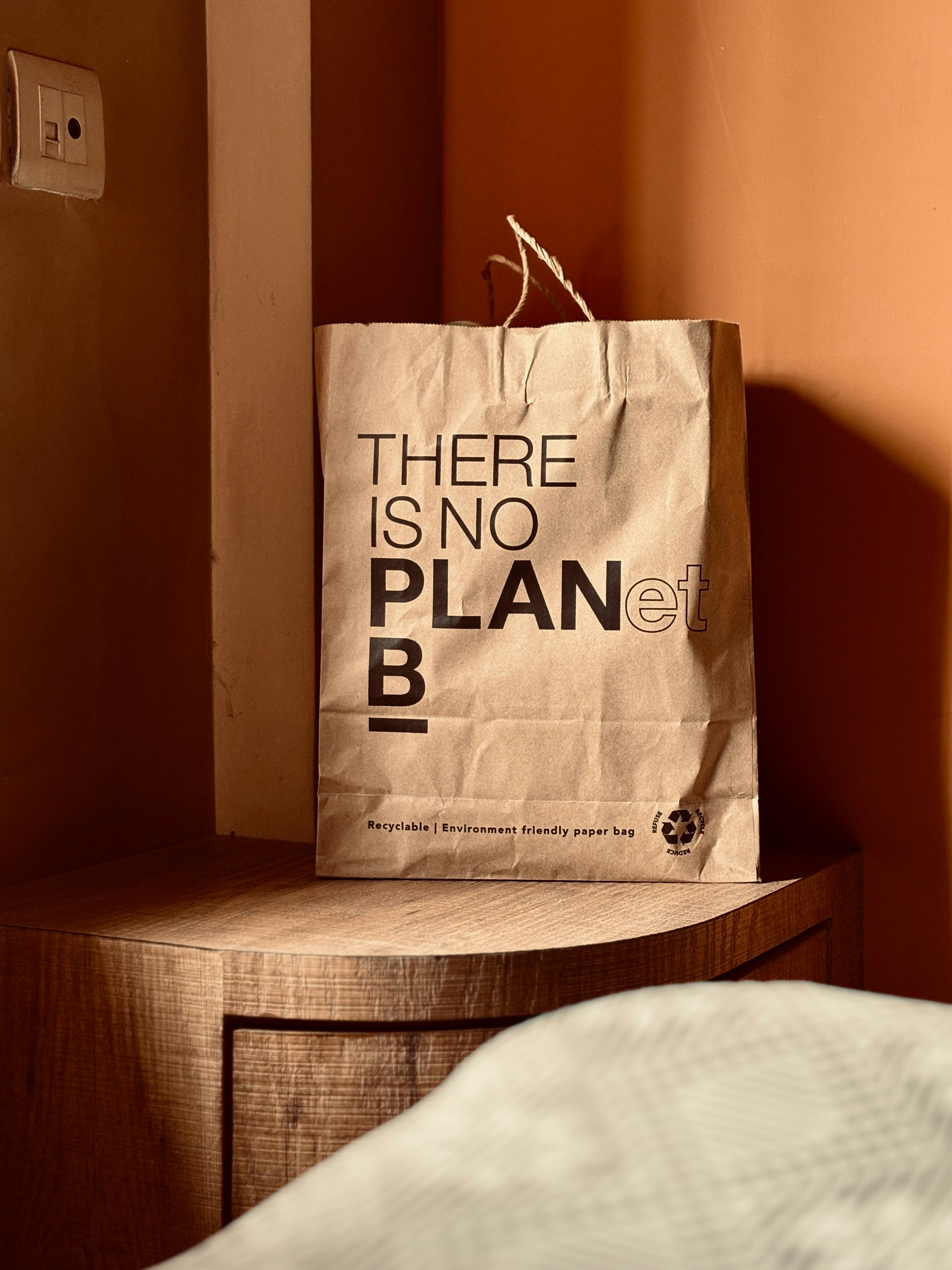 Paper bag with 'there is no plan b' message.
