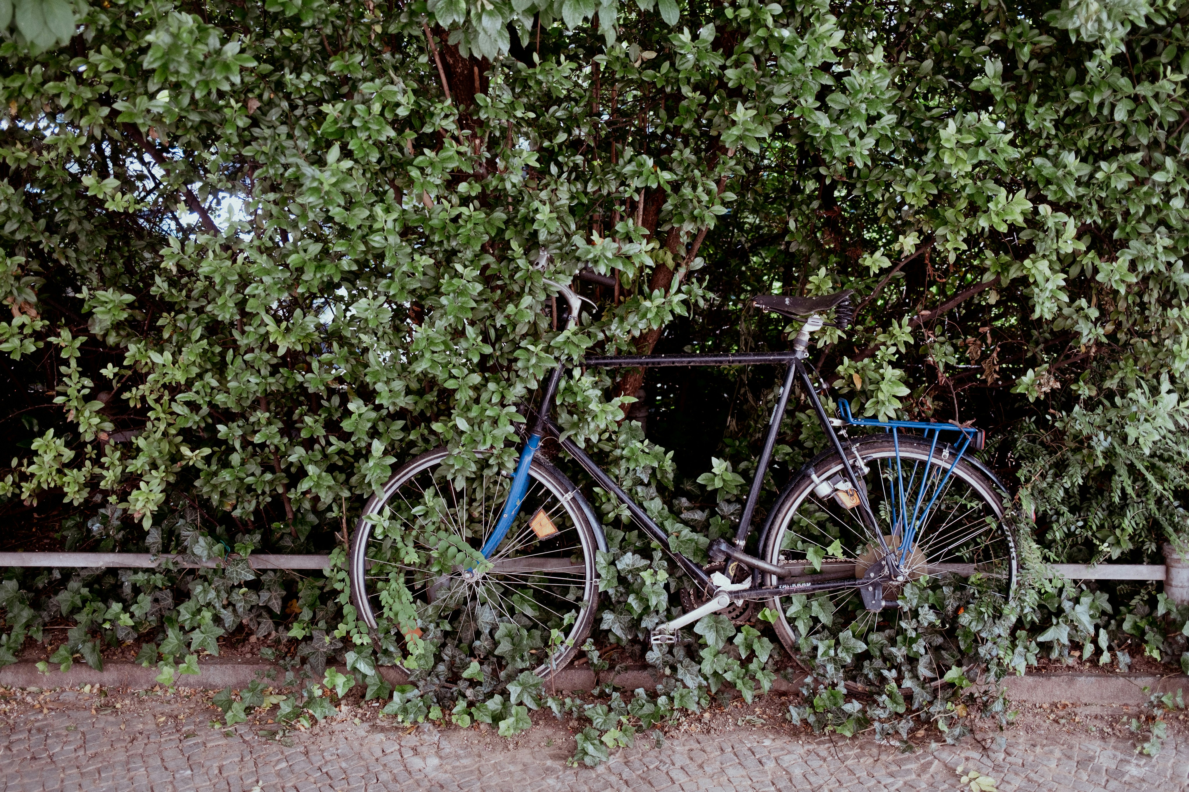 Photo by sarthaksachdeva