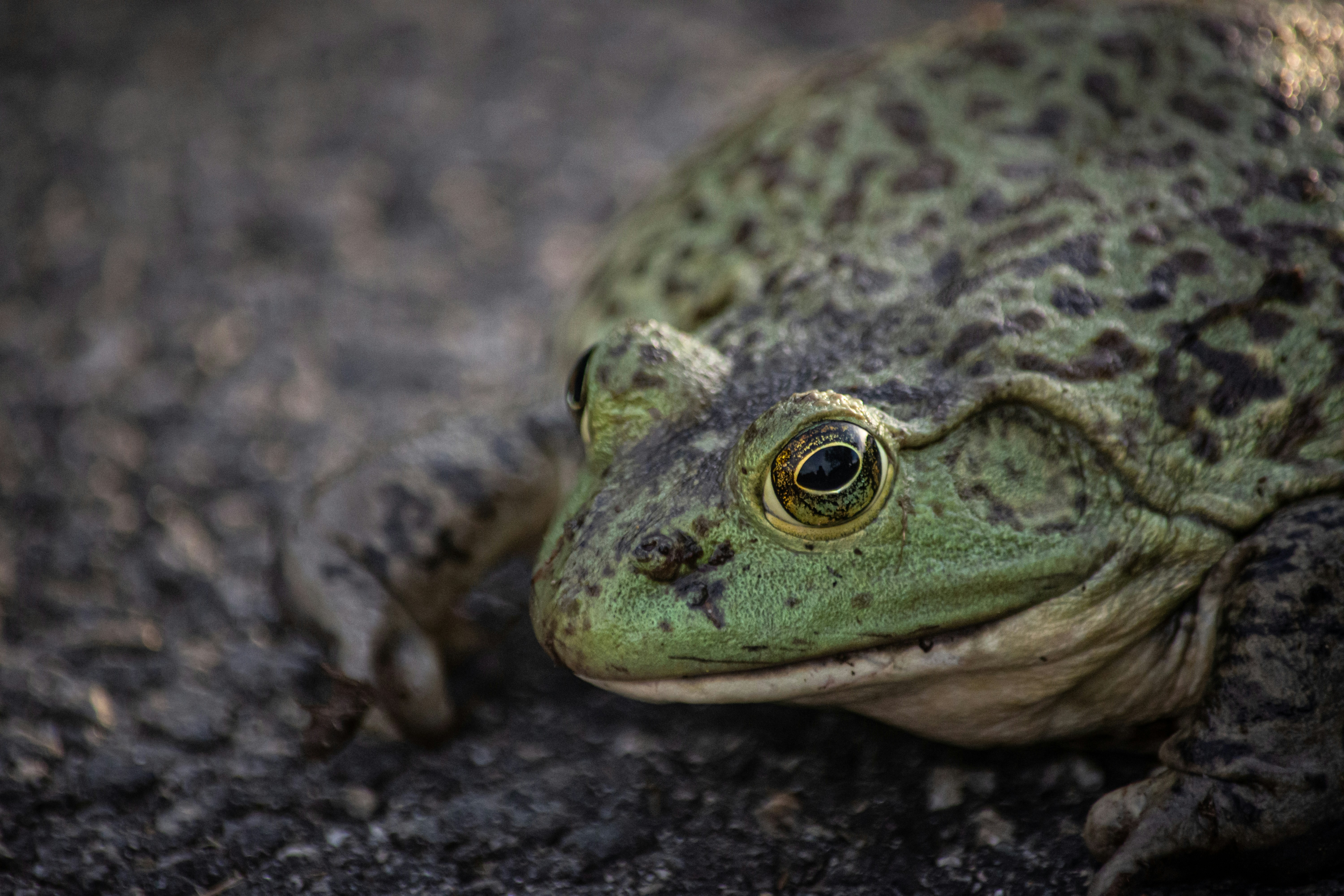 Photo by sarthaksachdeva