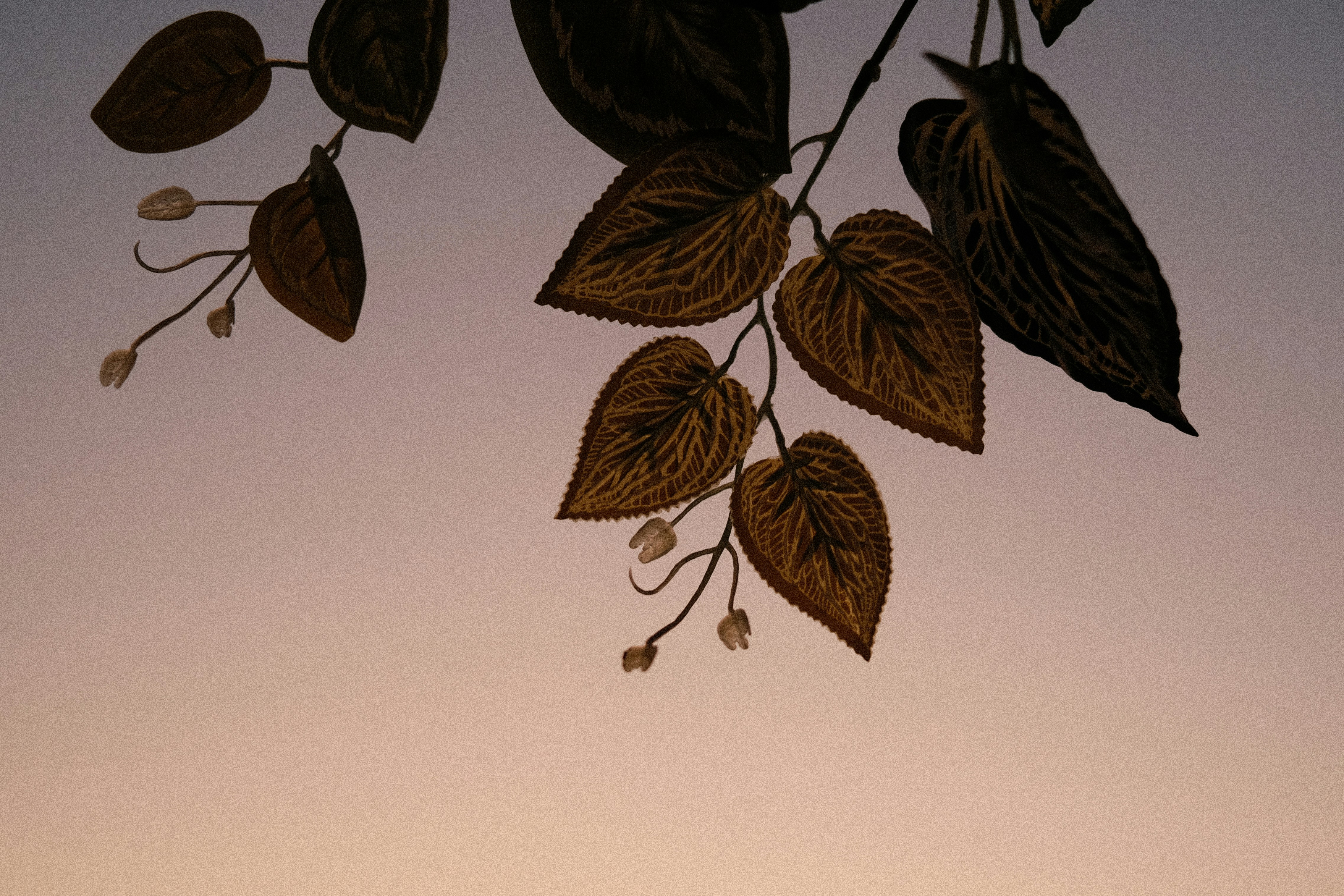 Photo by sarthaksachdeva