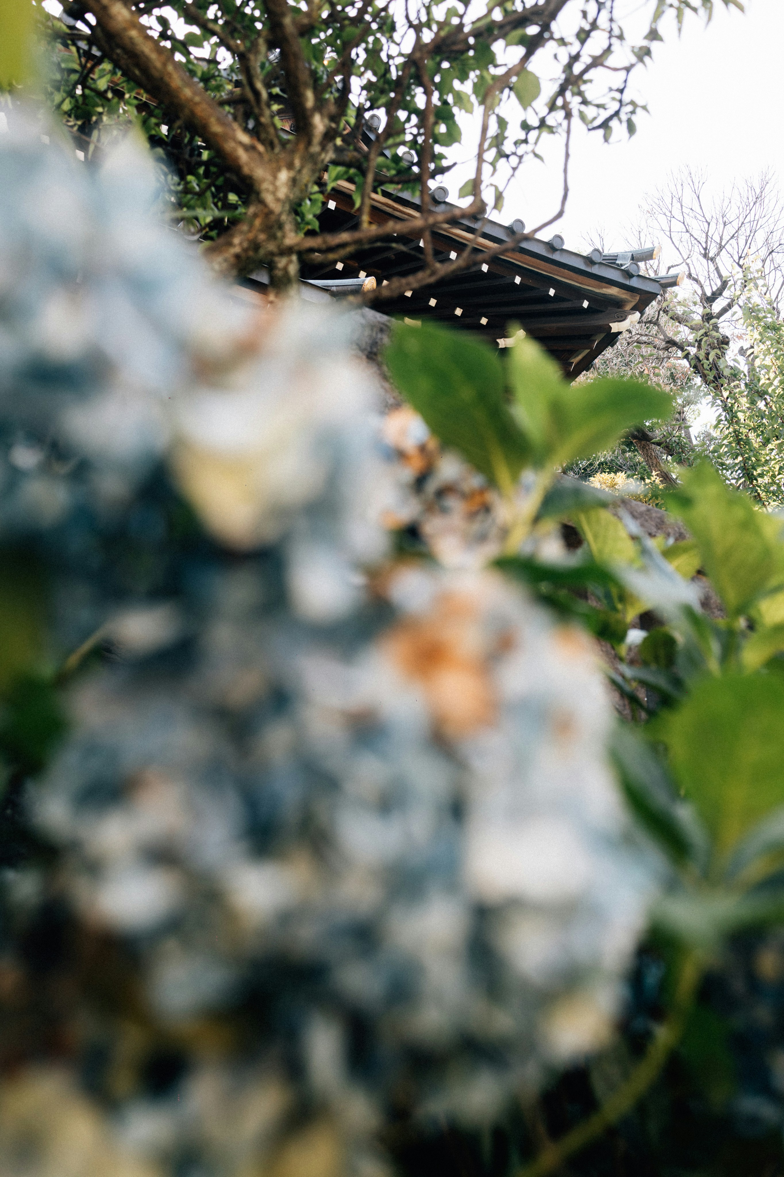 Photo by tsuyoshikozu