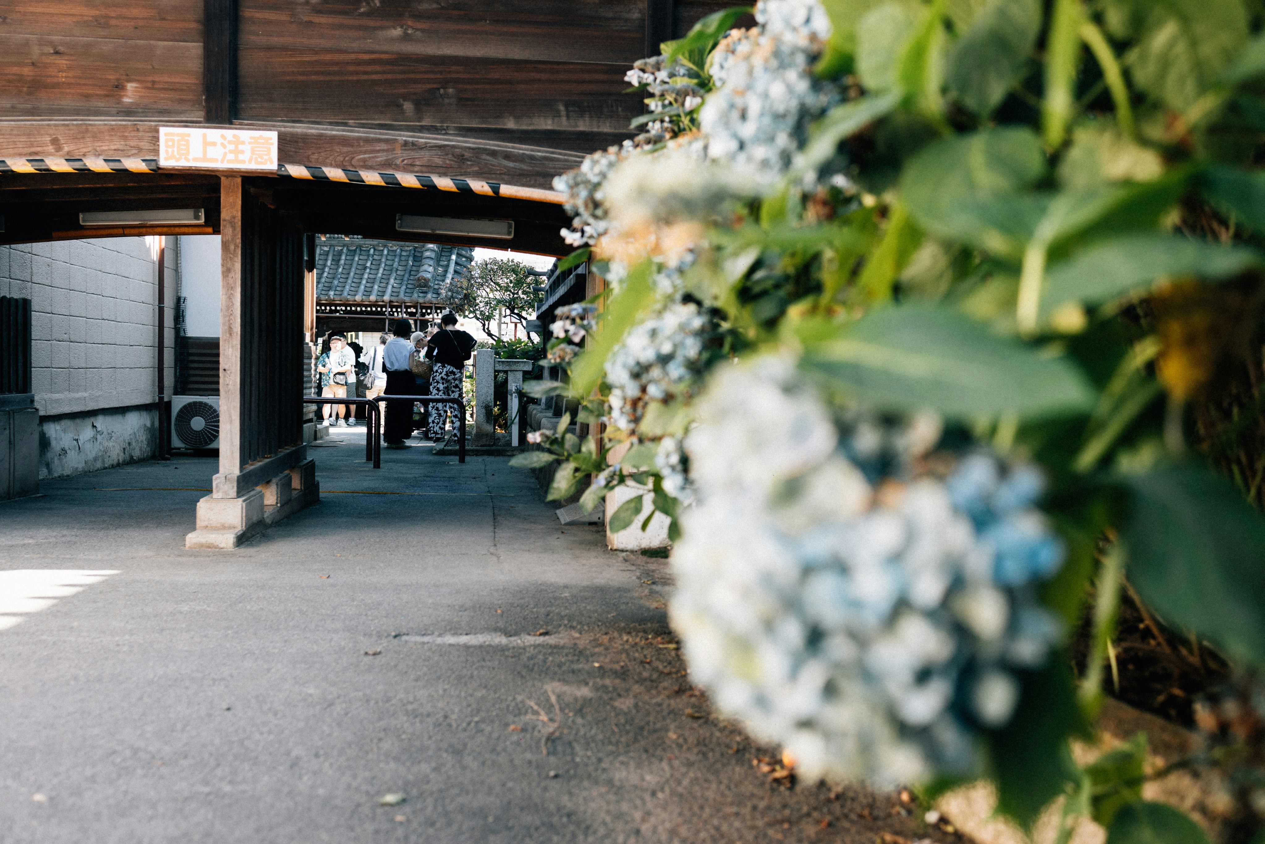 Photo by tsuyoshikozu