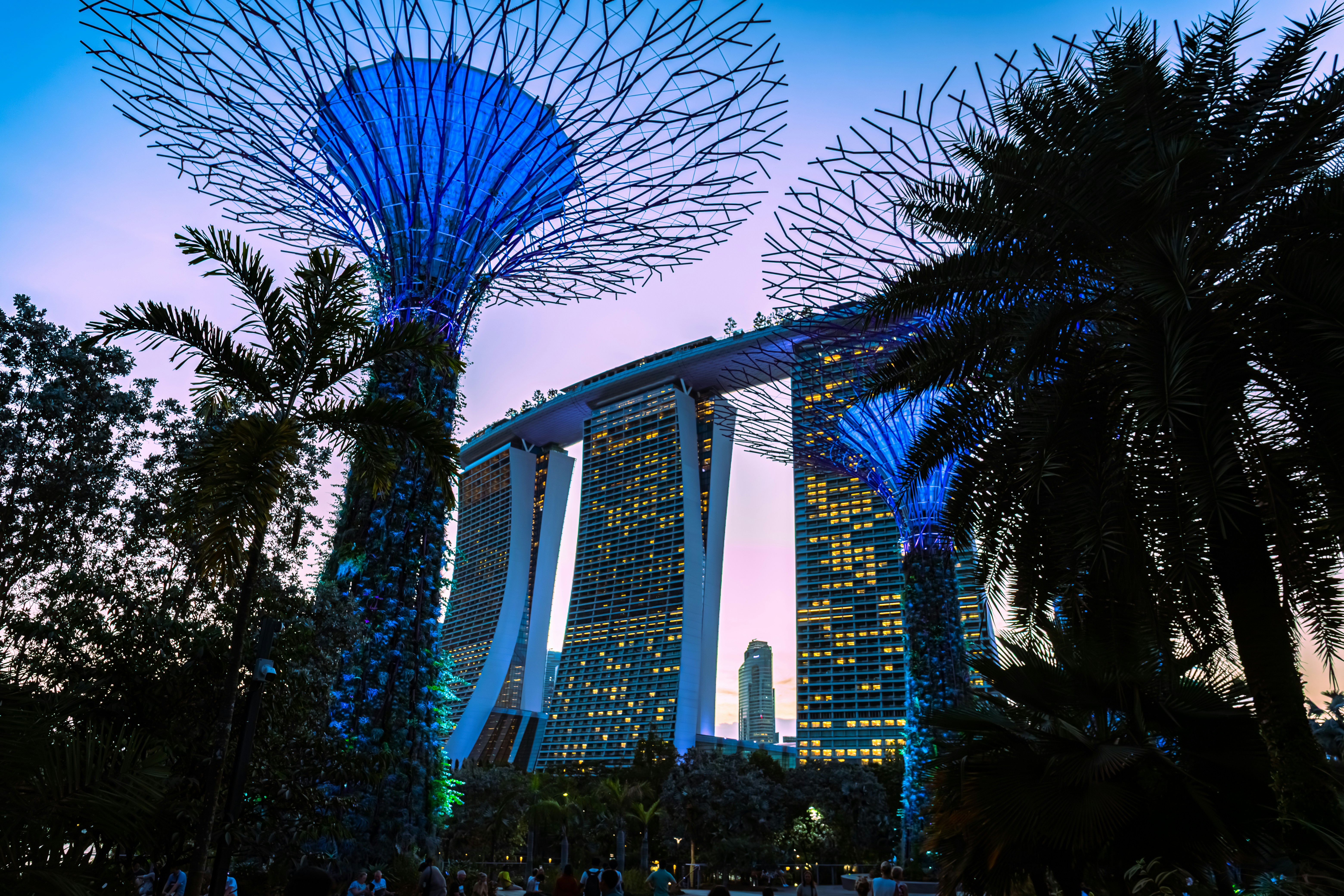 Photo by solomonikvik