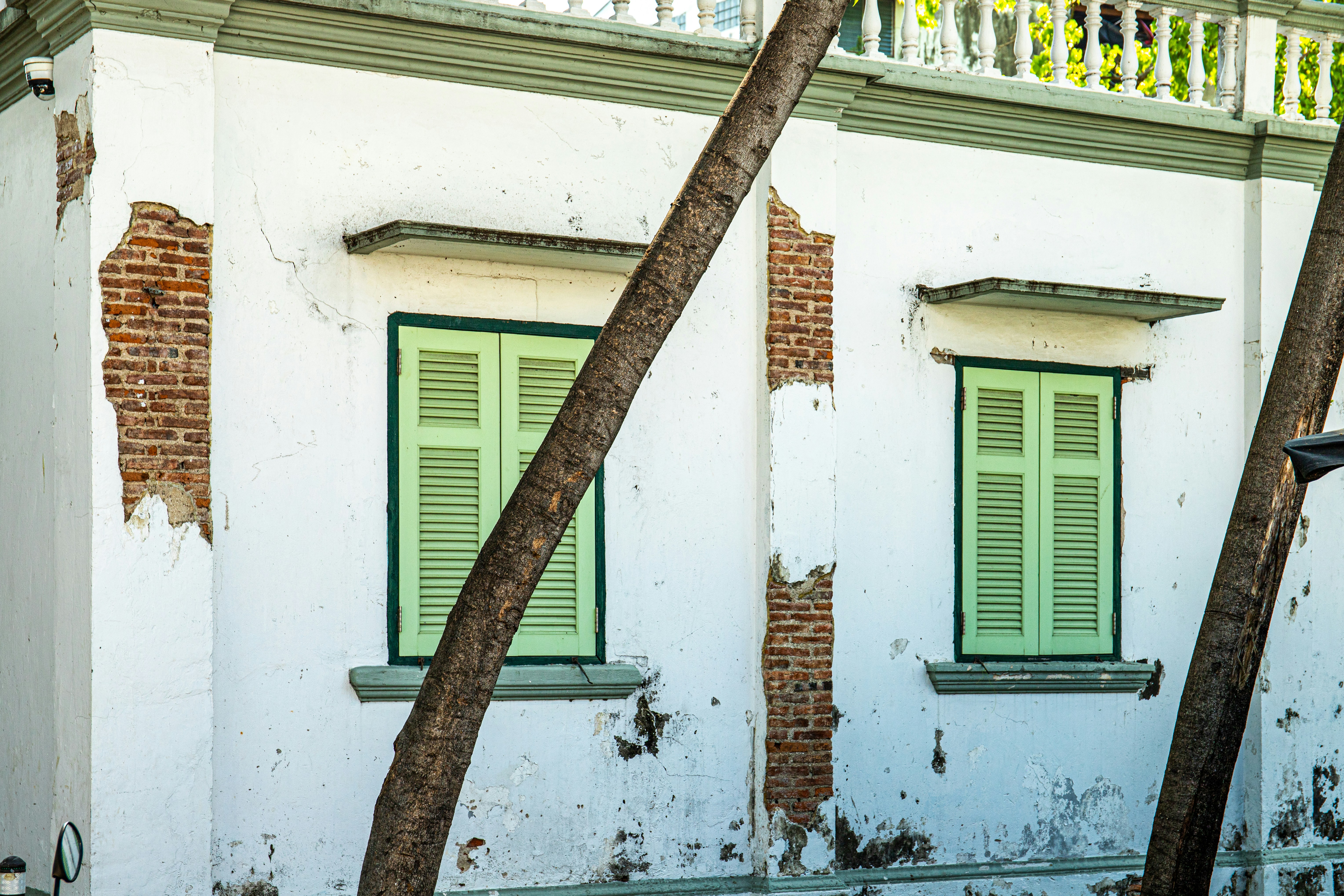 Photo by solomonikvik