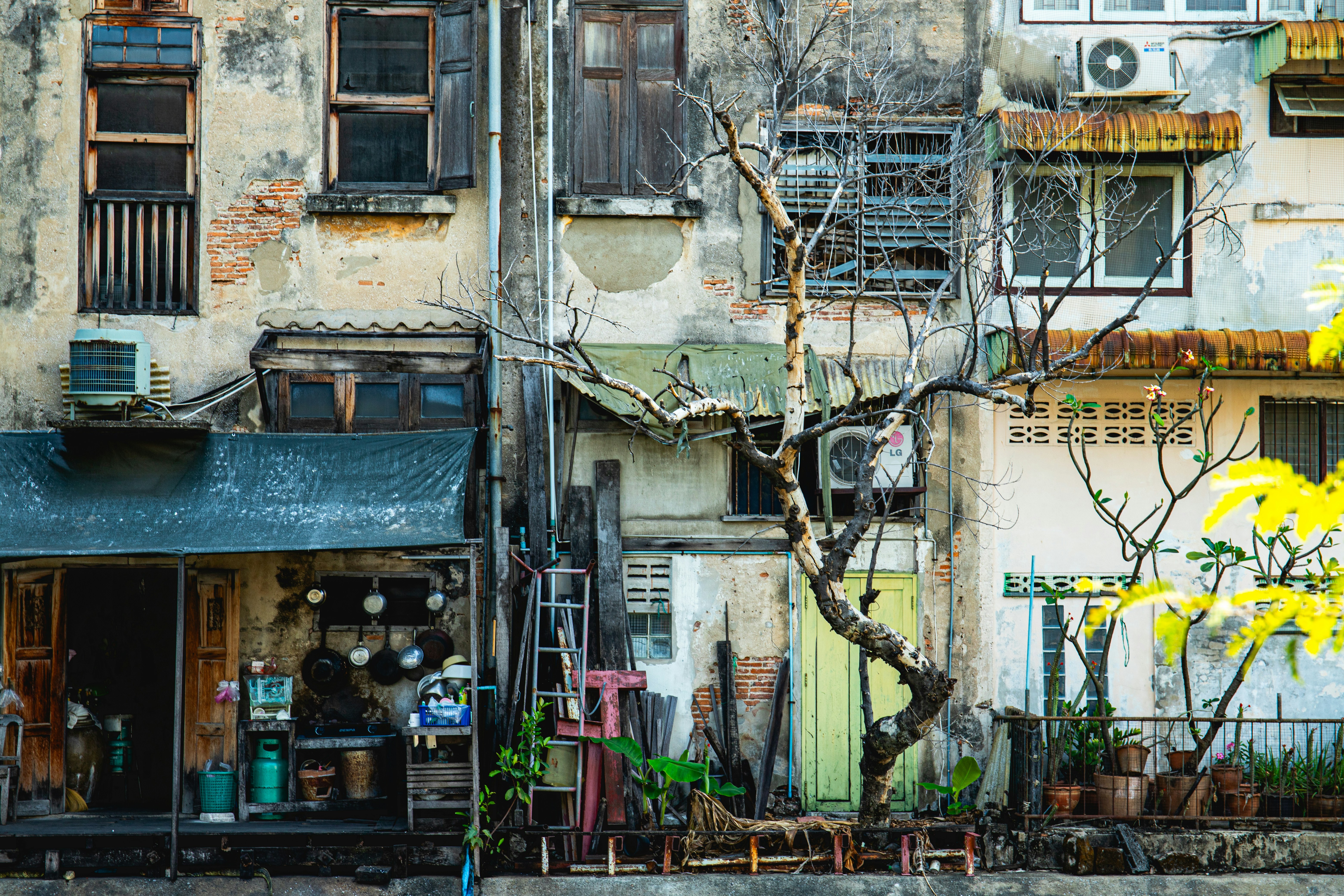 Dilapidated buildings with a bare tree and plants.