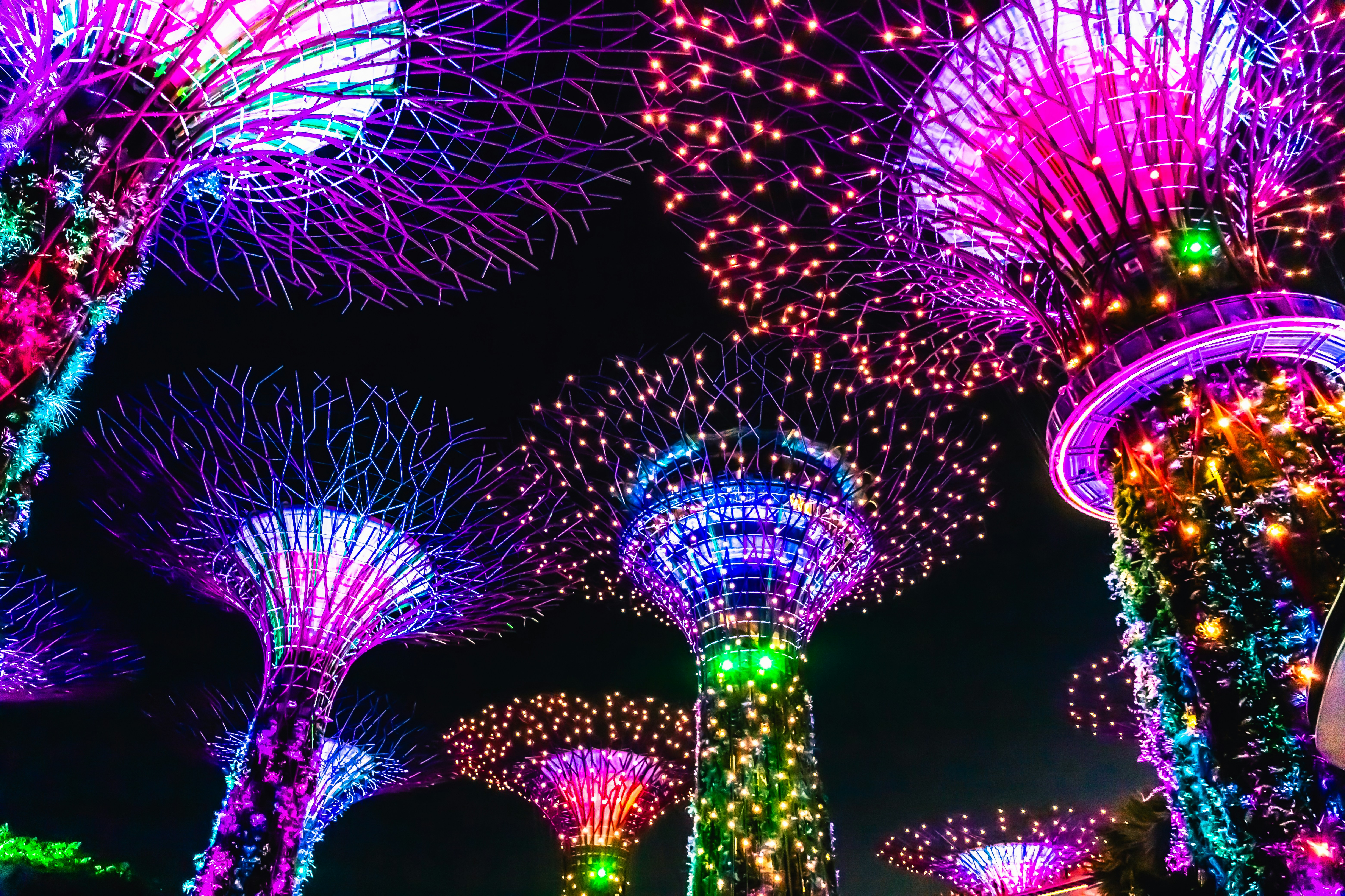 Photo by solomonikvik