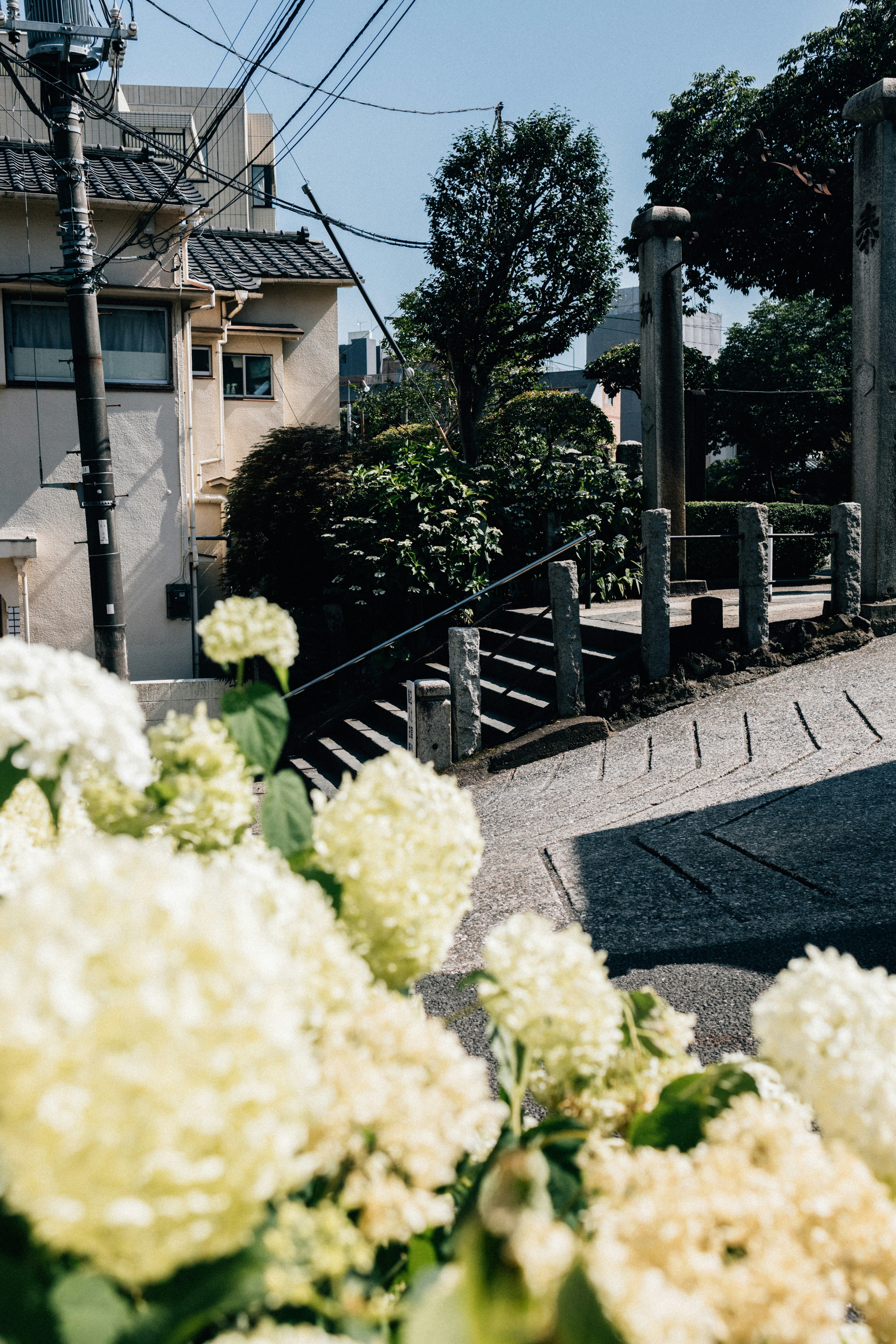 Photo by tsuyoshikozu