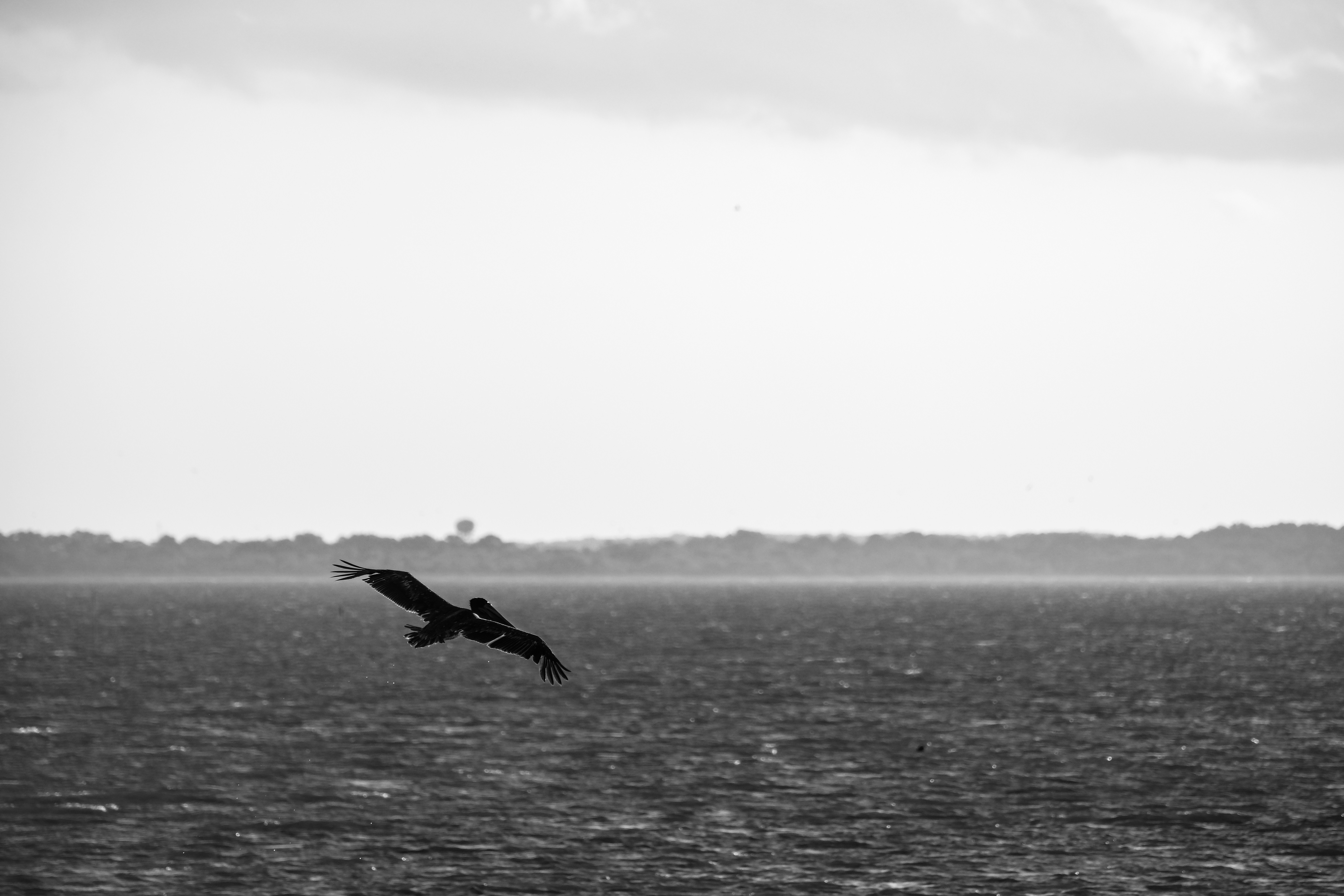 Photo by hvlck