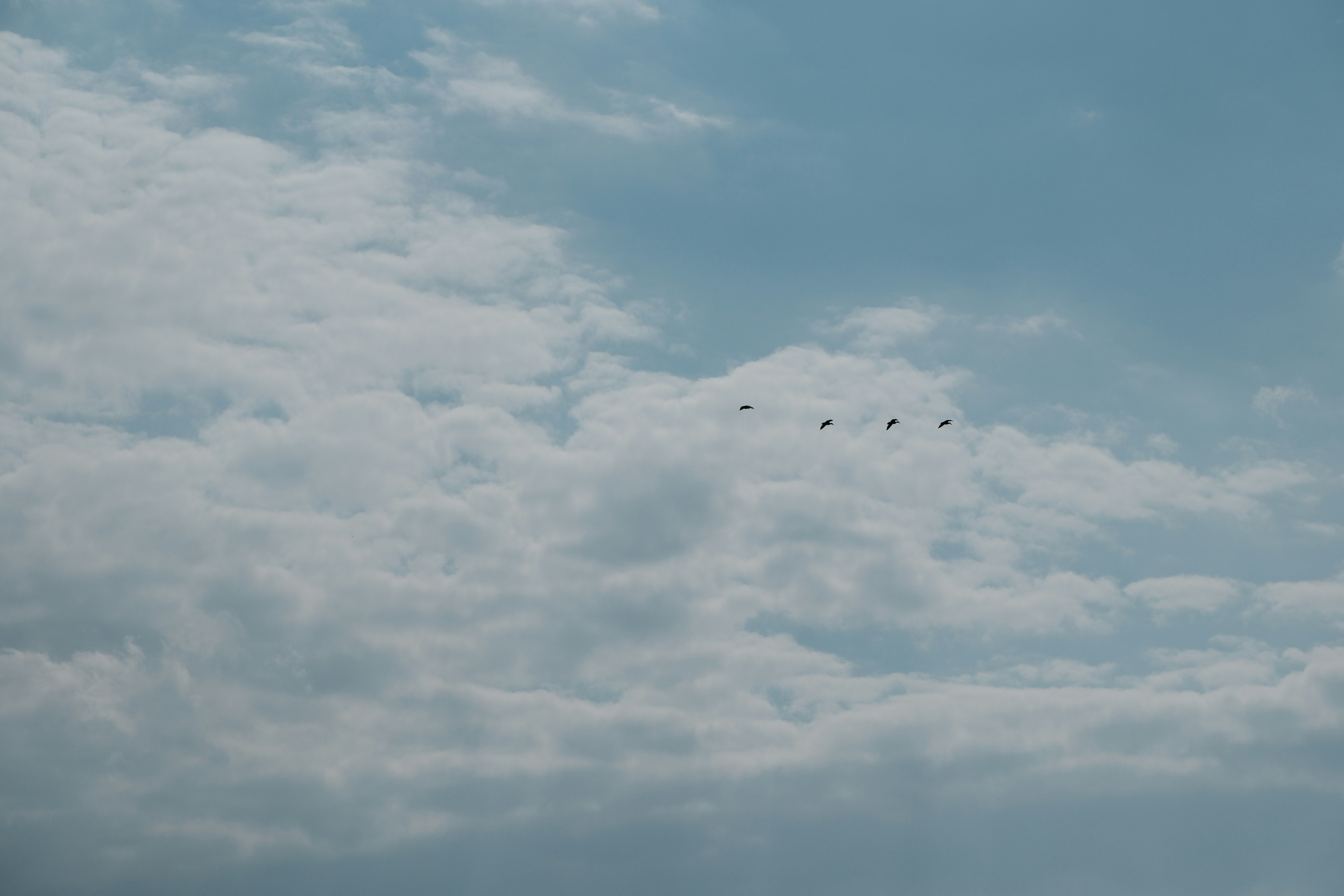 Photo by hvlck