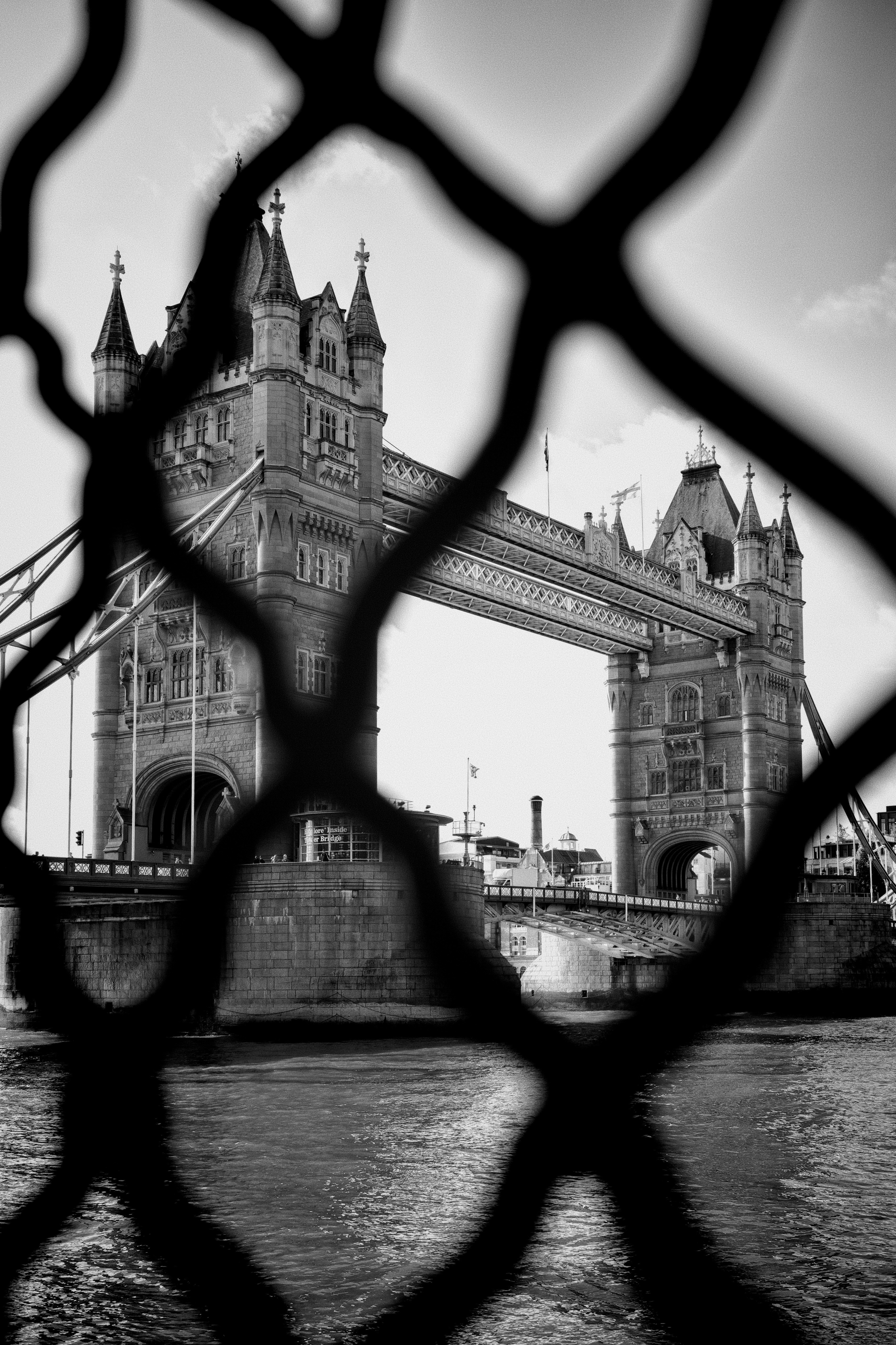 Ein veröffentlichtes Foto