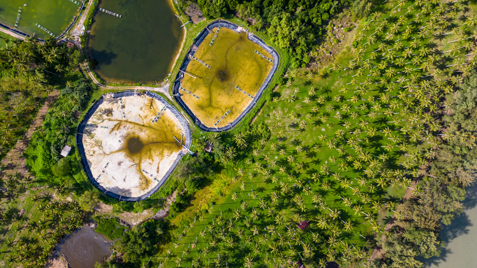 Aerial view of aquaculture ponds