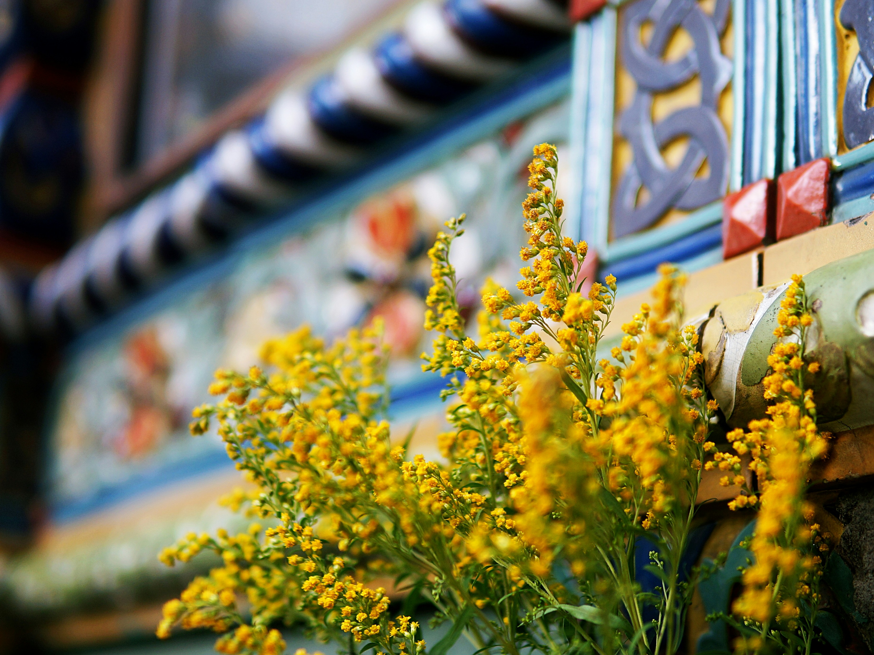 Yellow flowers in front of colorful ornate structure