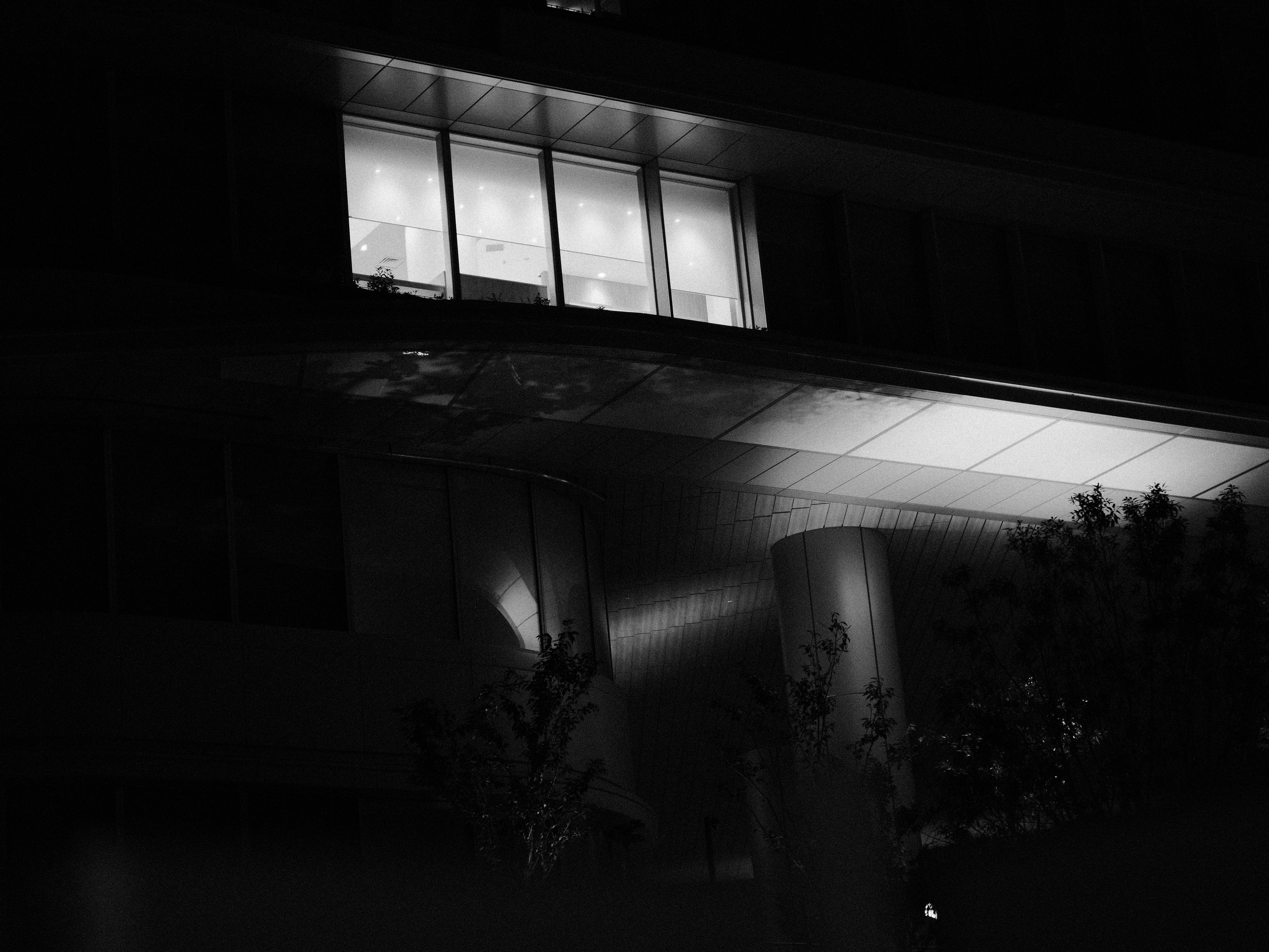 Photo by branislavrodman