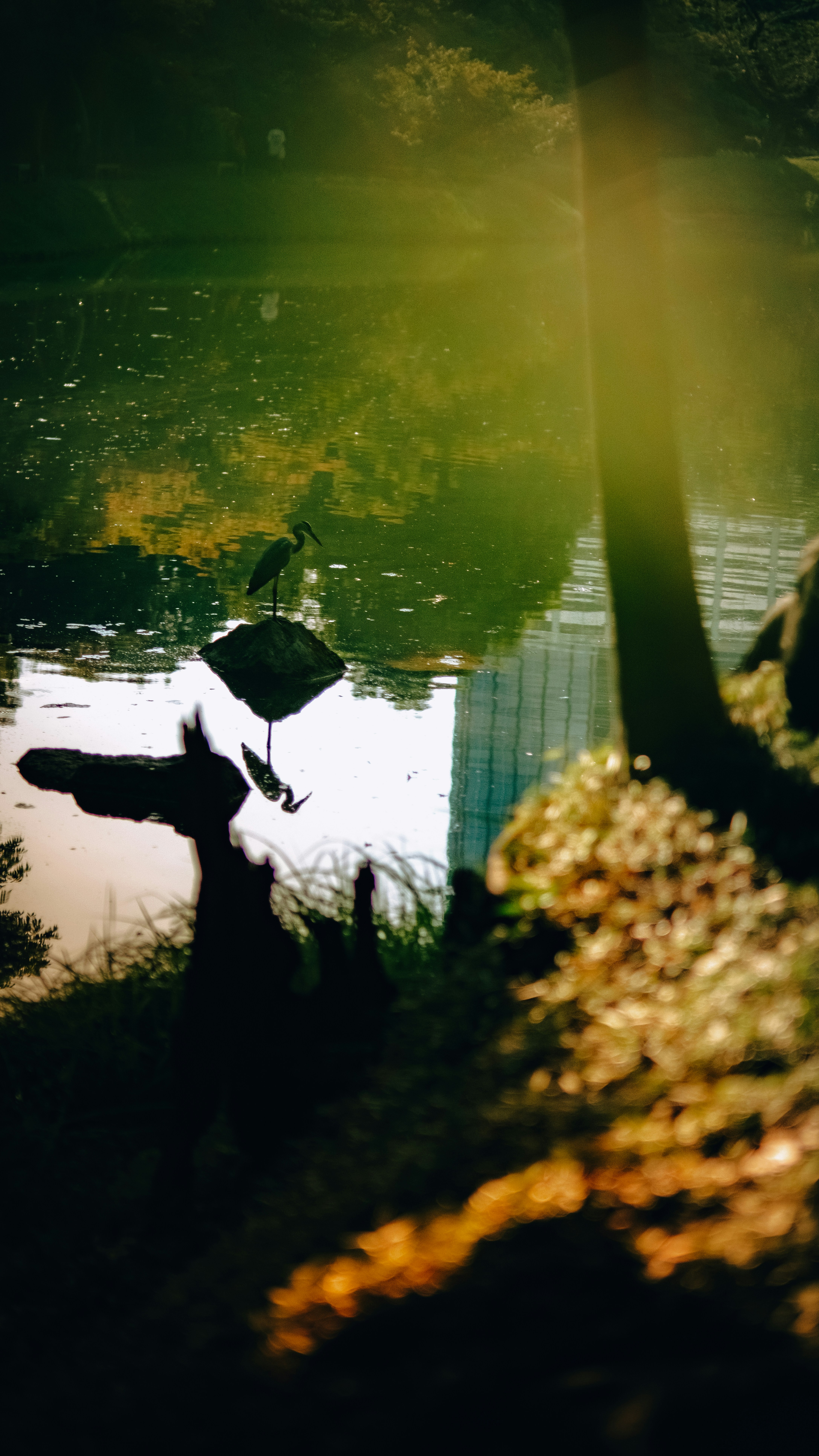 Photo by branislavrodman