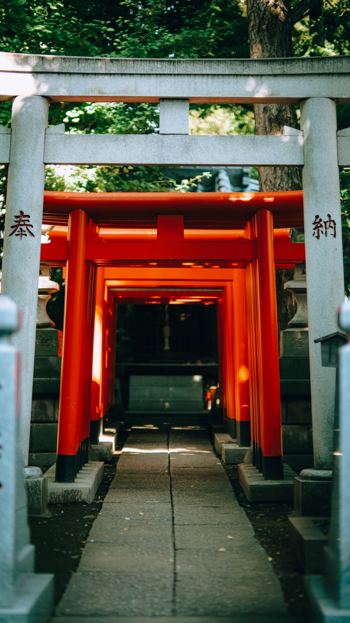 Tunnel of red torii gates at a Tokyo shrine, curving up a wooded hill