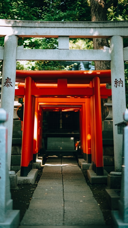 Community Integration: How to Be a Good Neighbor in Rural Japan