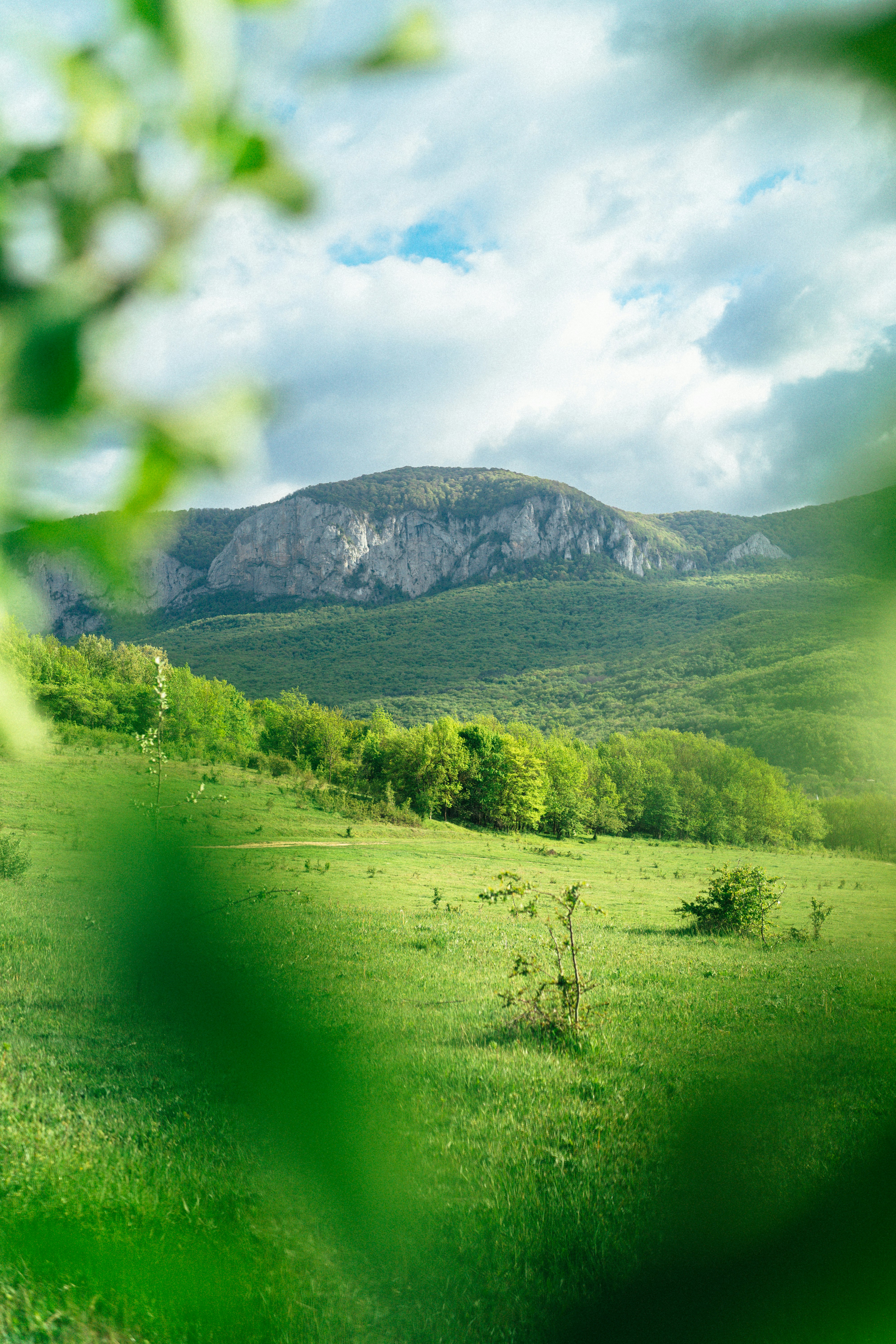 Photo by dari_tomulis