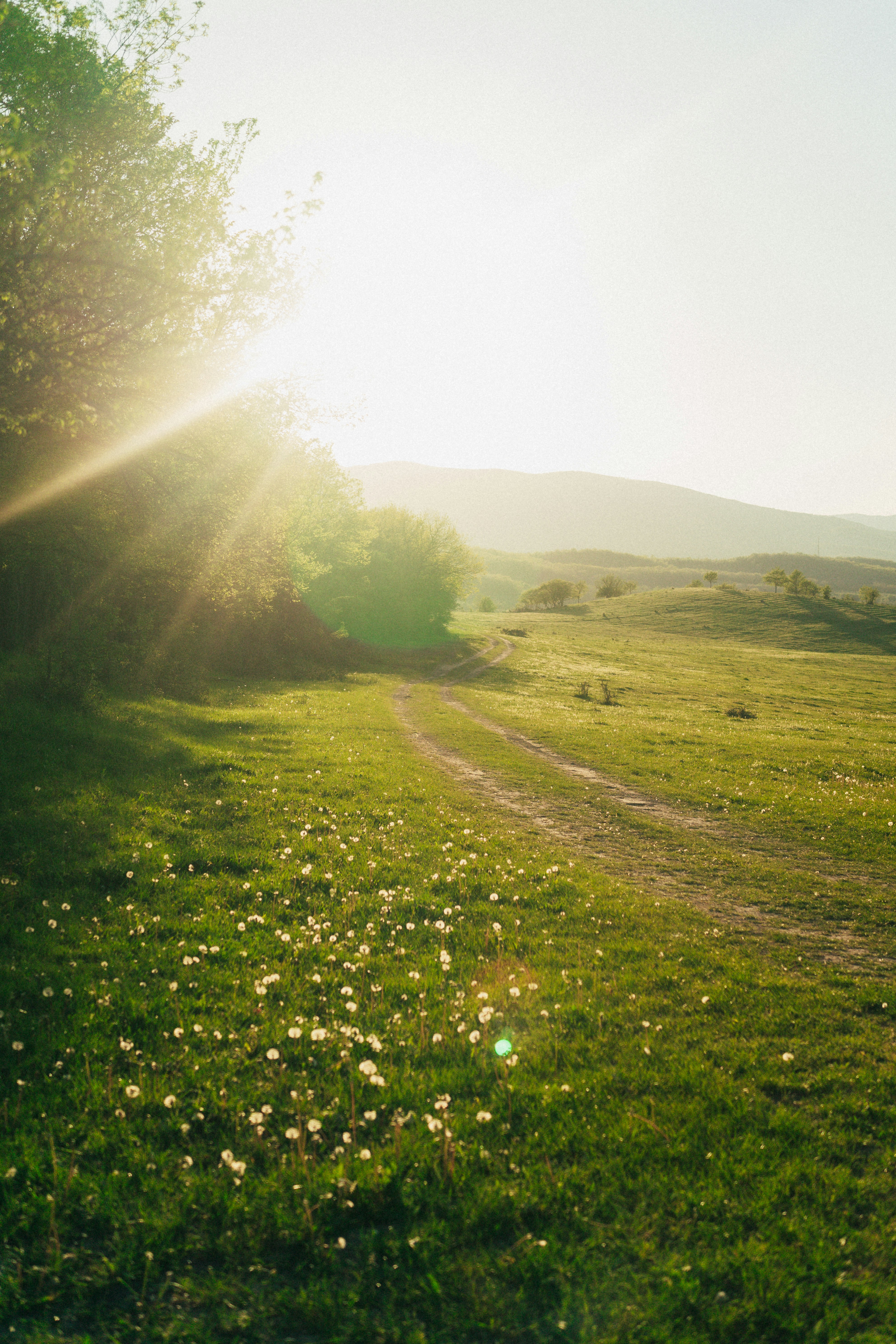 Photo by dari_tomulis