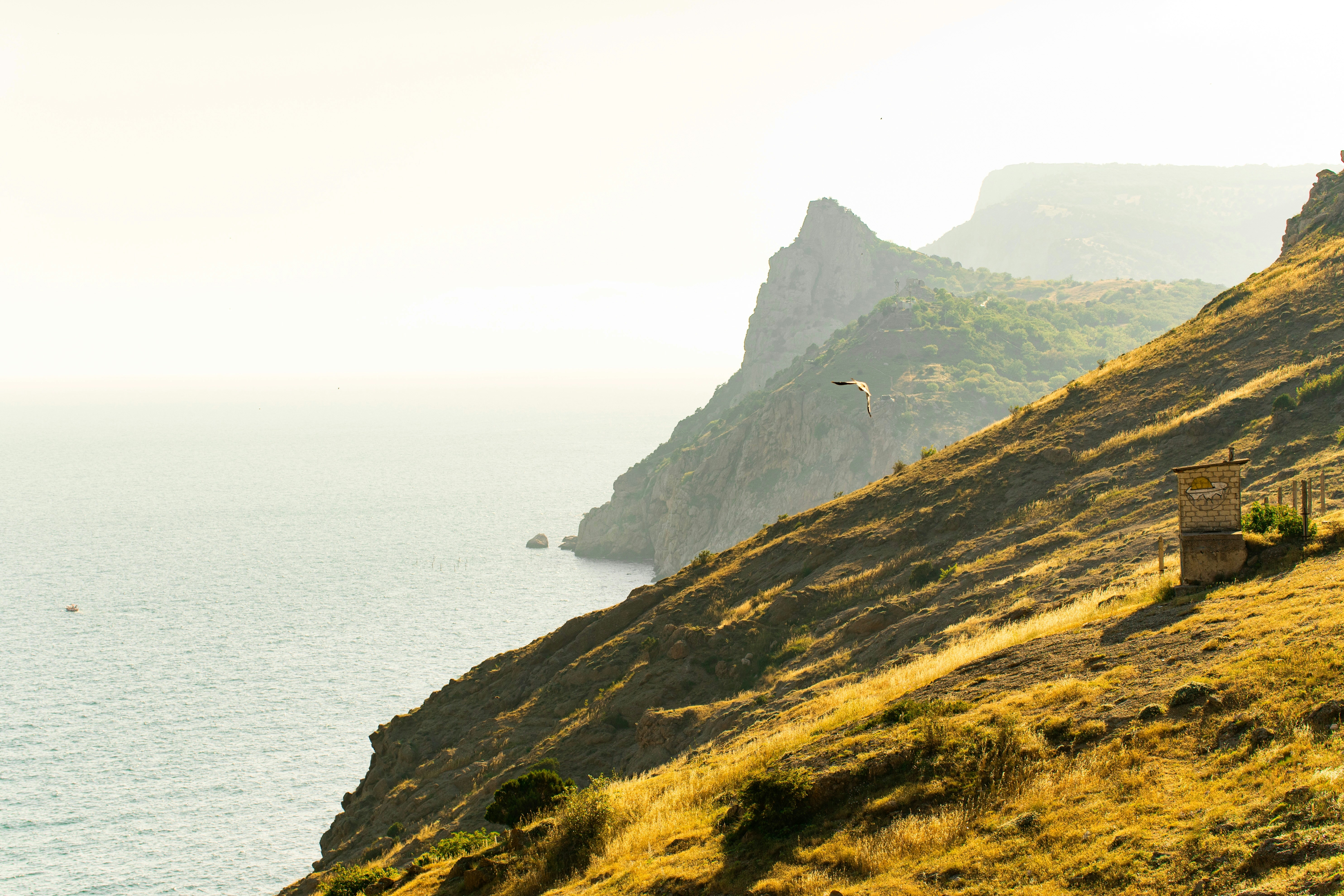 Photo by dari_tomulis