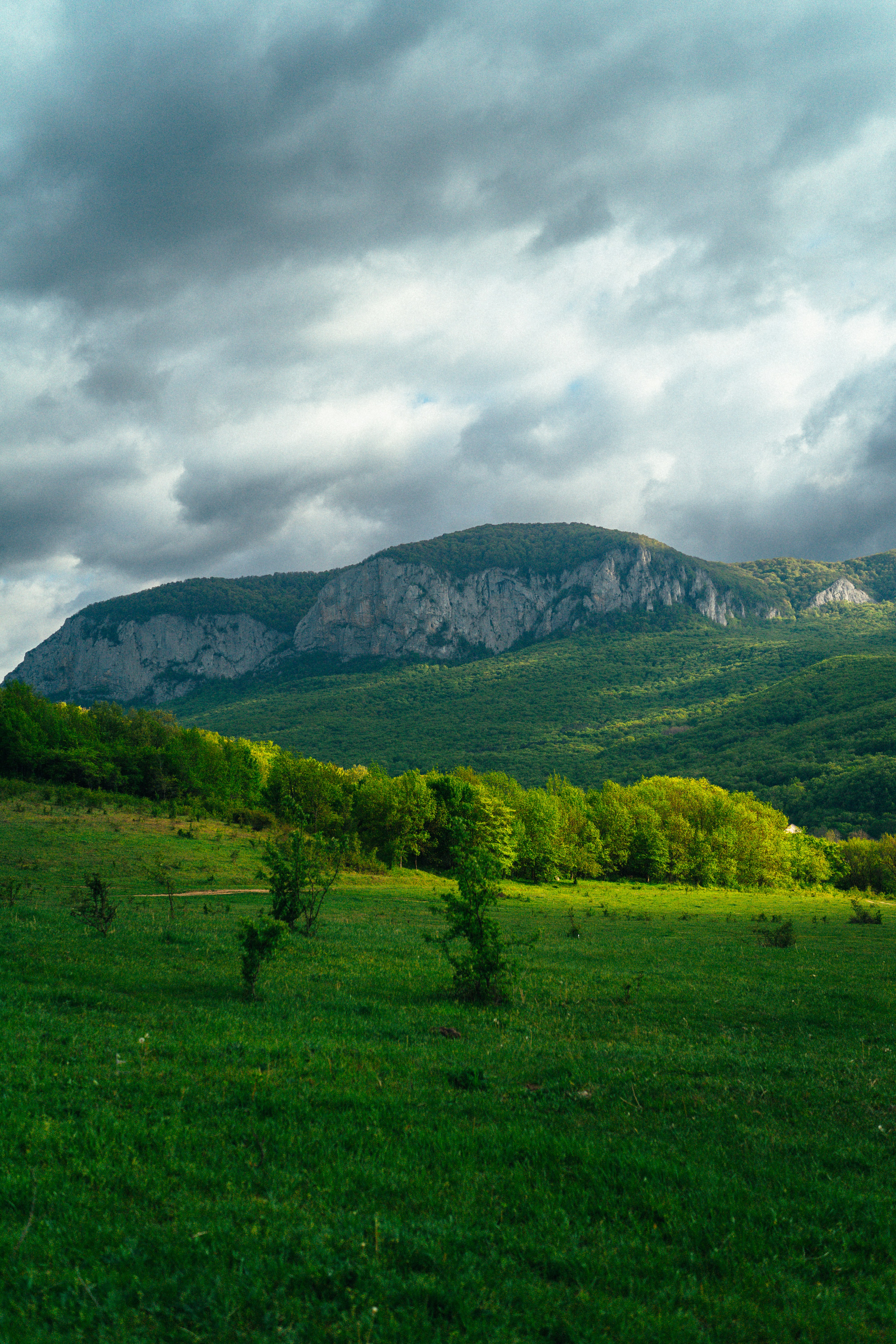 Photo by dari_tomulis