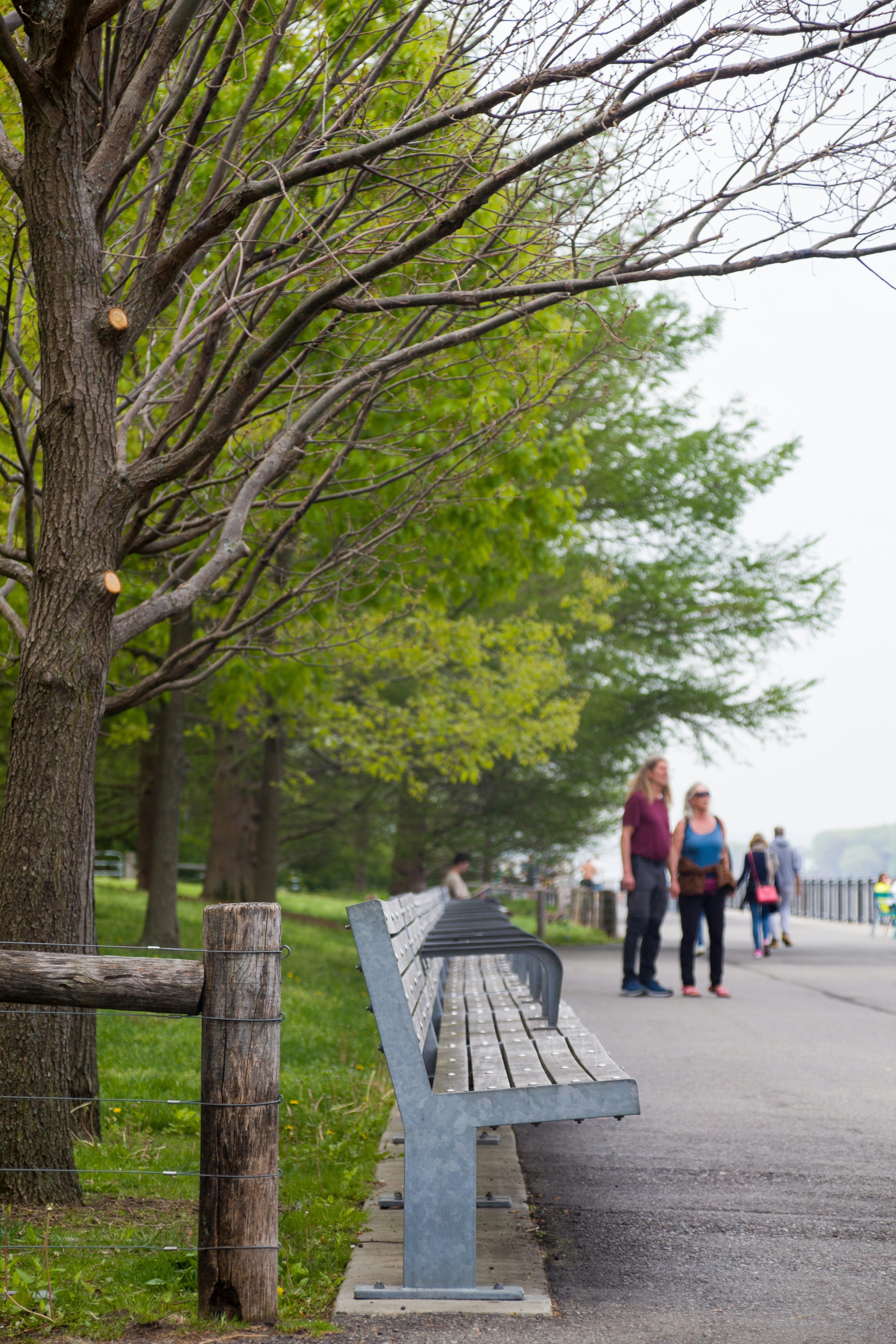 Los bancos del parque bordean un camino con gente caminando