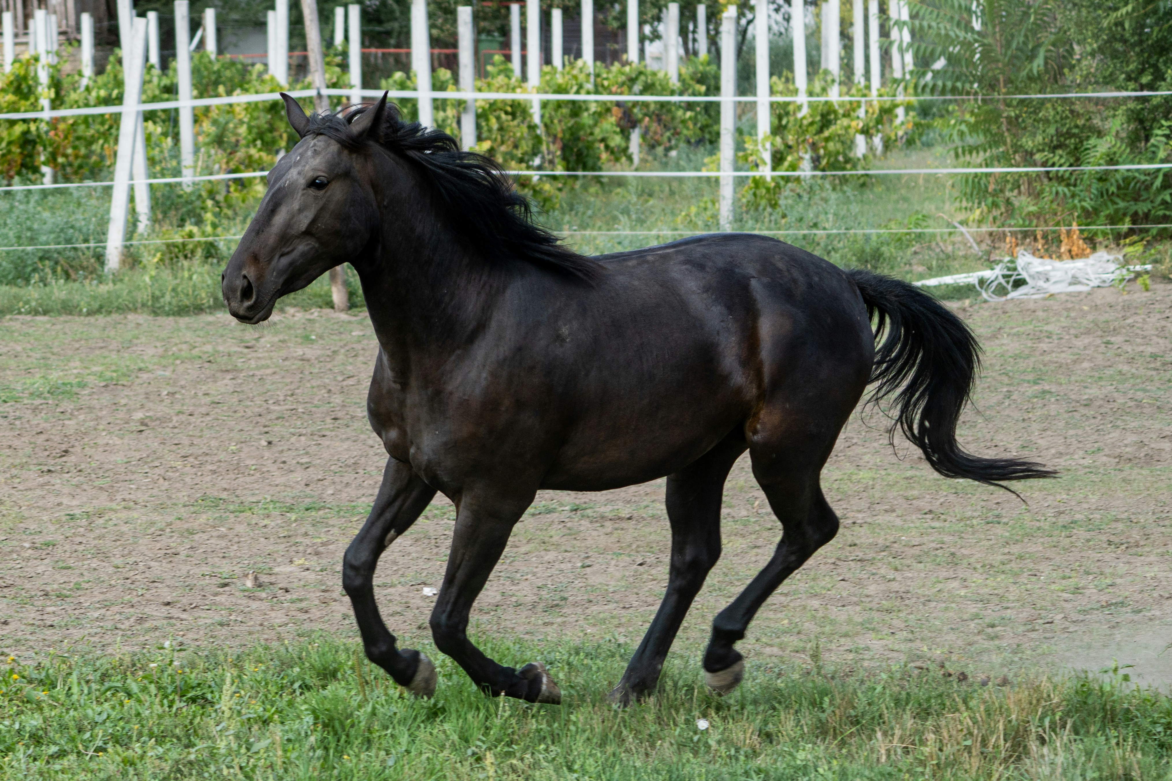 Photo by sinisalekovic