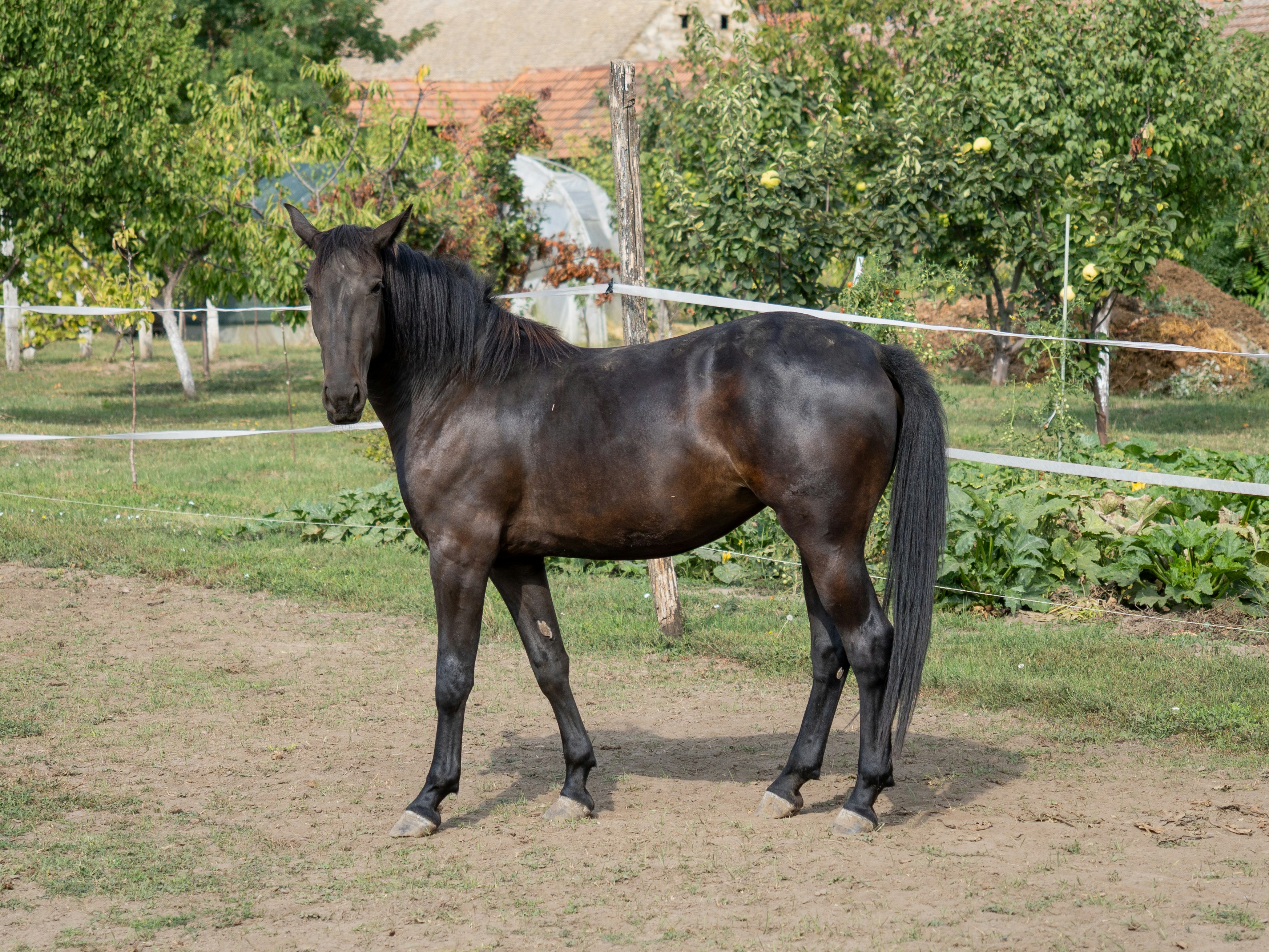 Photo by sinisalekovic