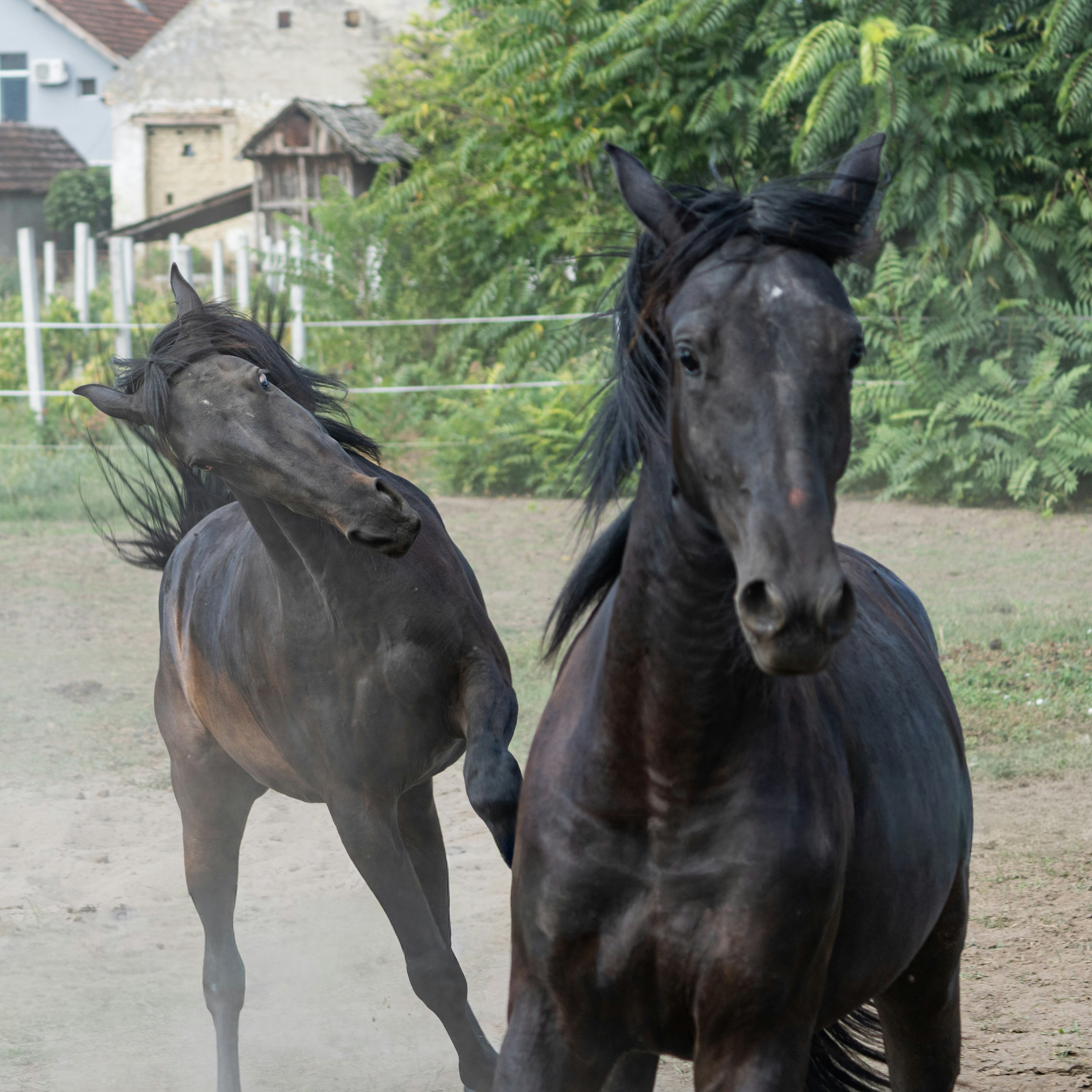 Photo by sinisalekovic