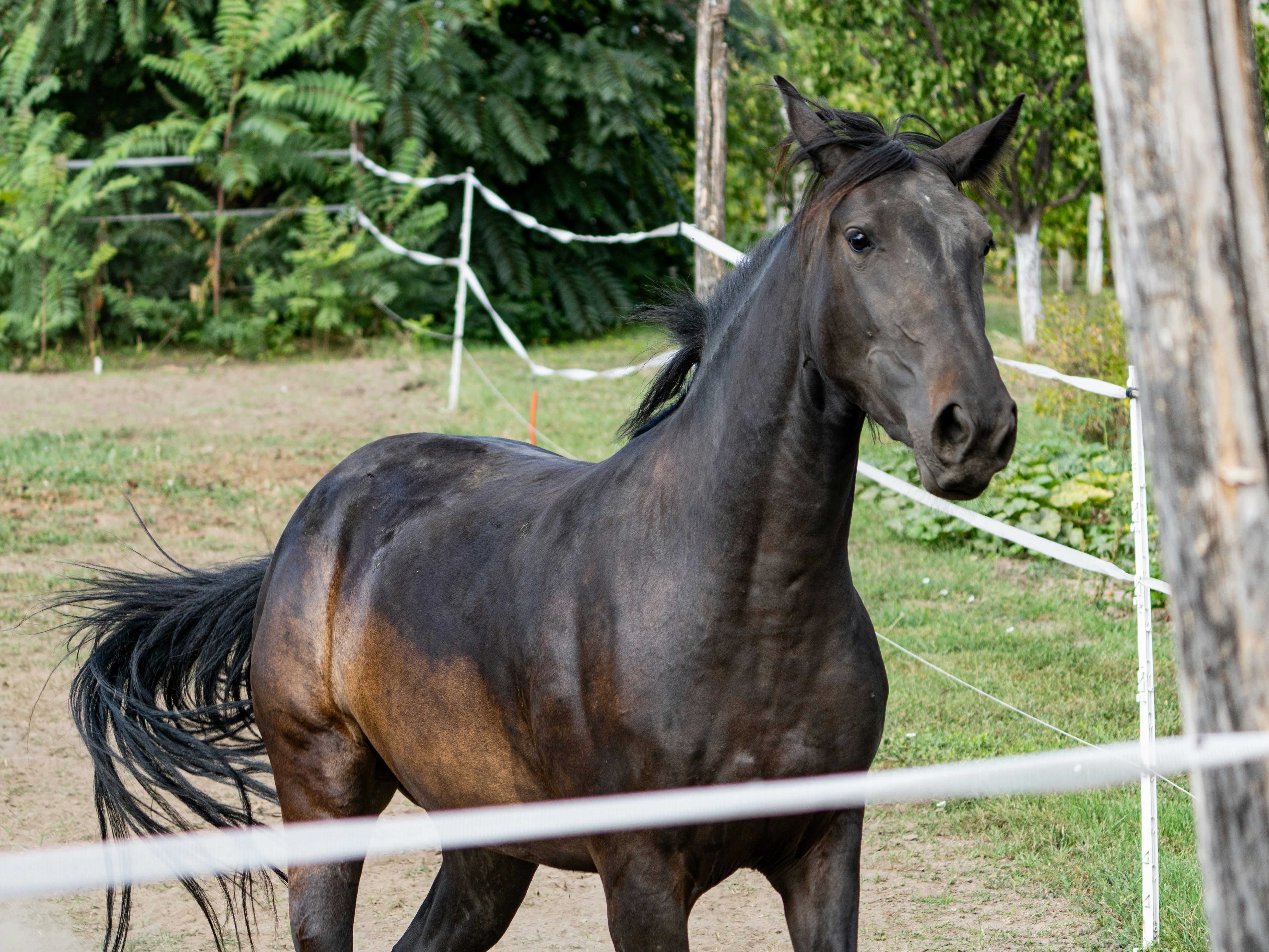 Photo by sinisalekovic