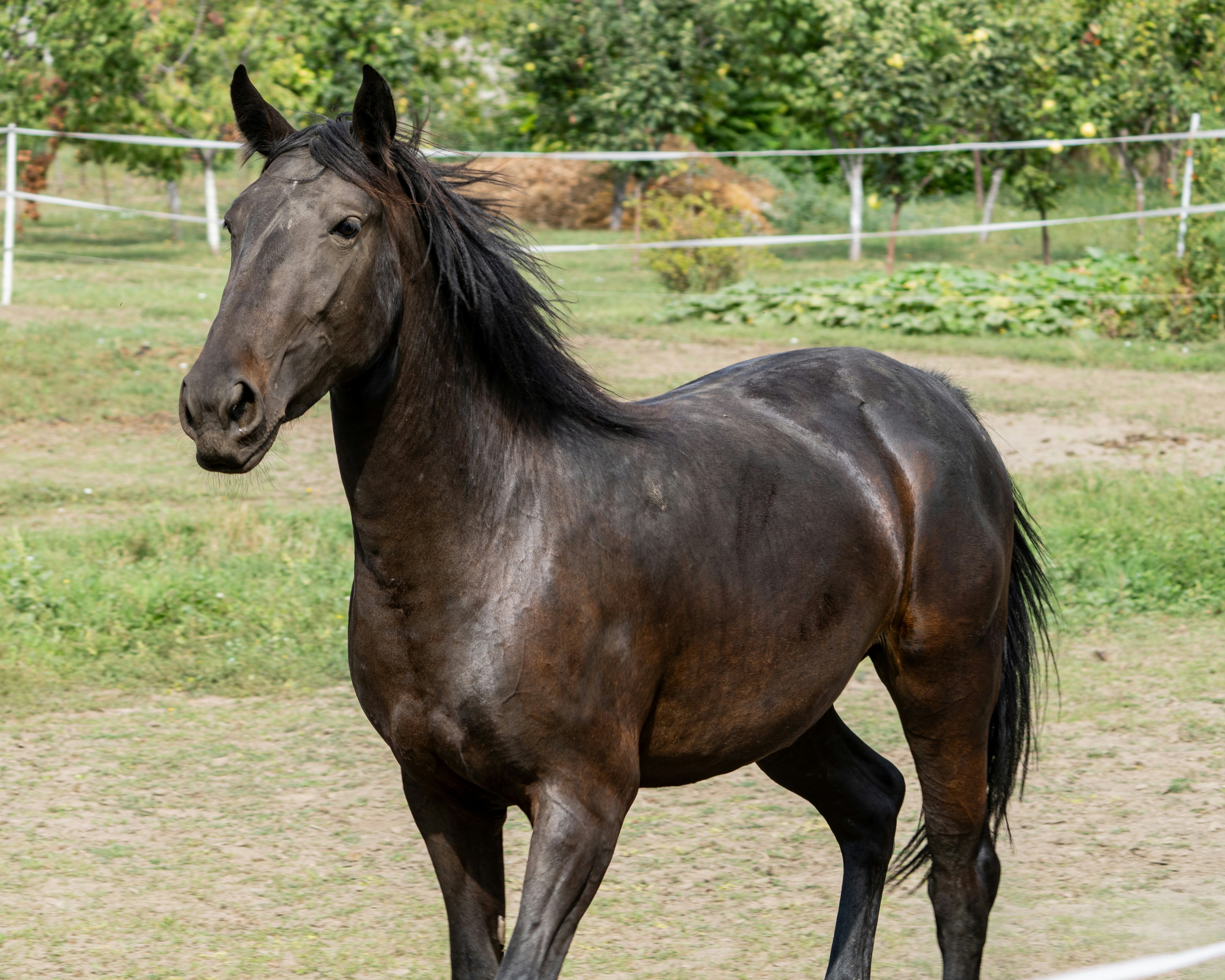 Photo by sinisalekovic