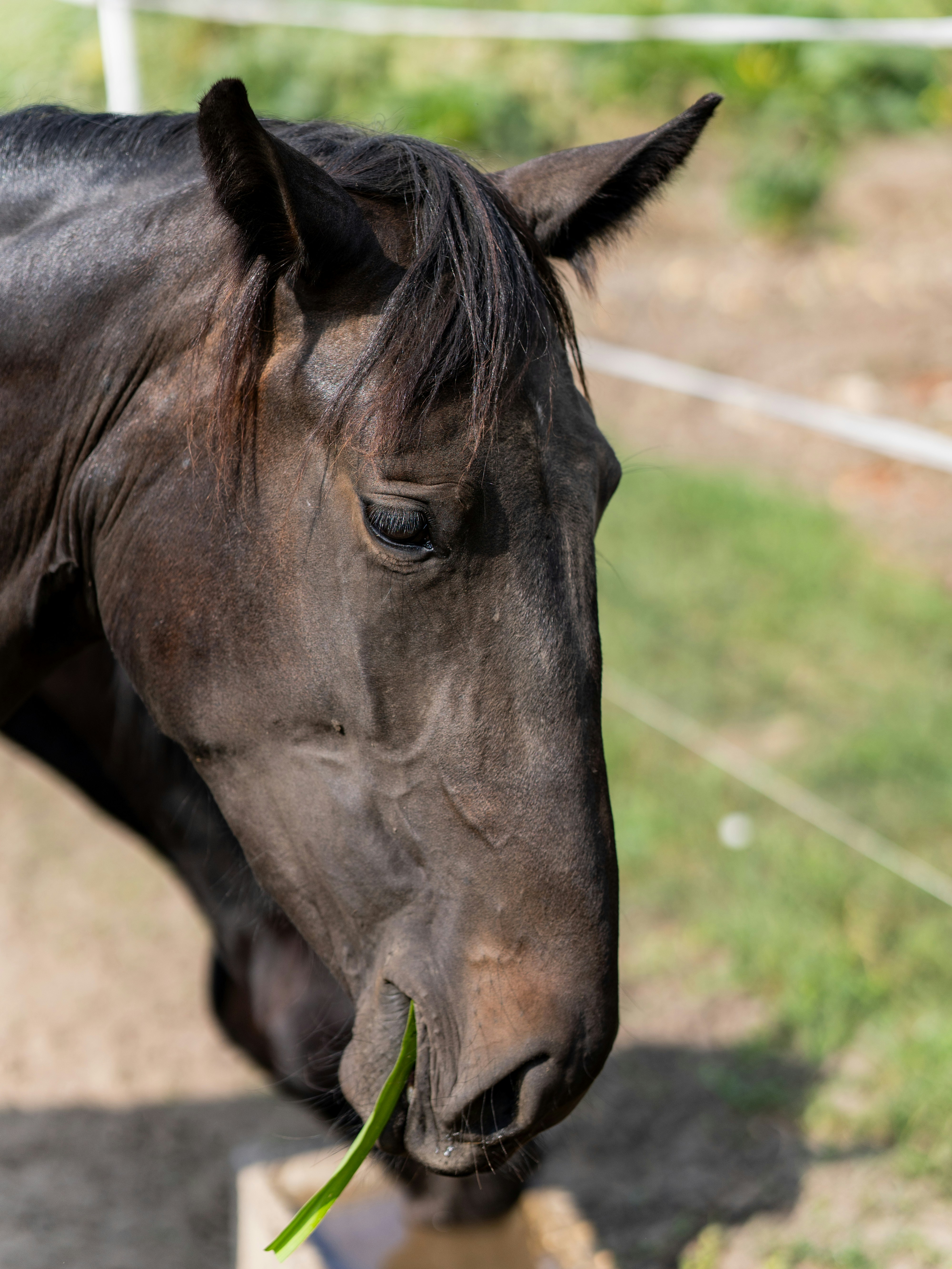 Photo by sinisalekovic