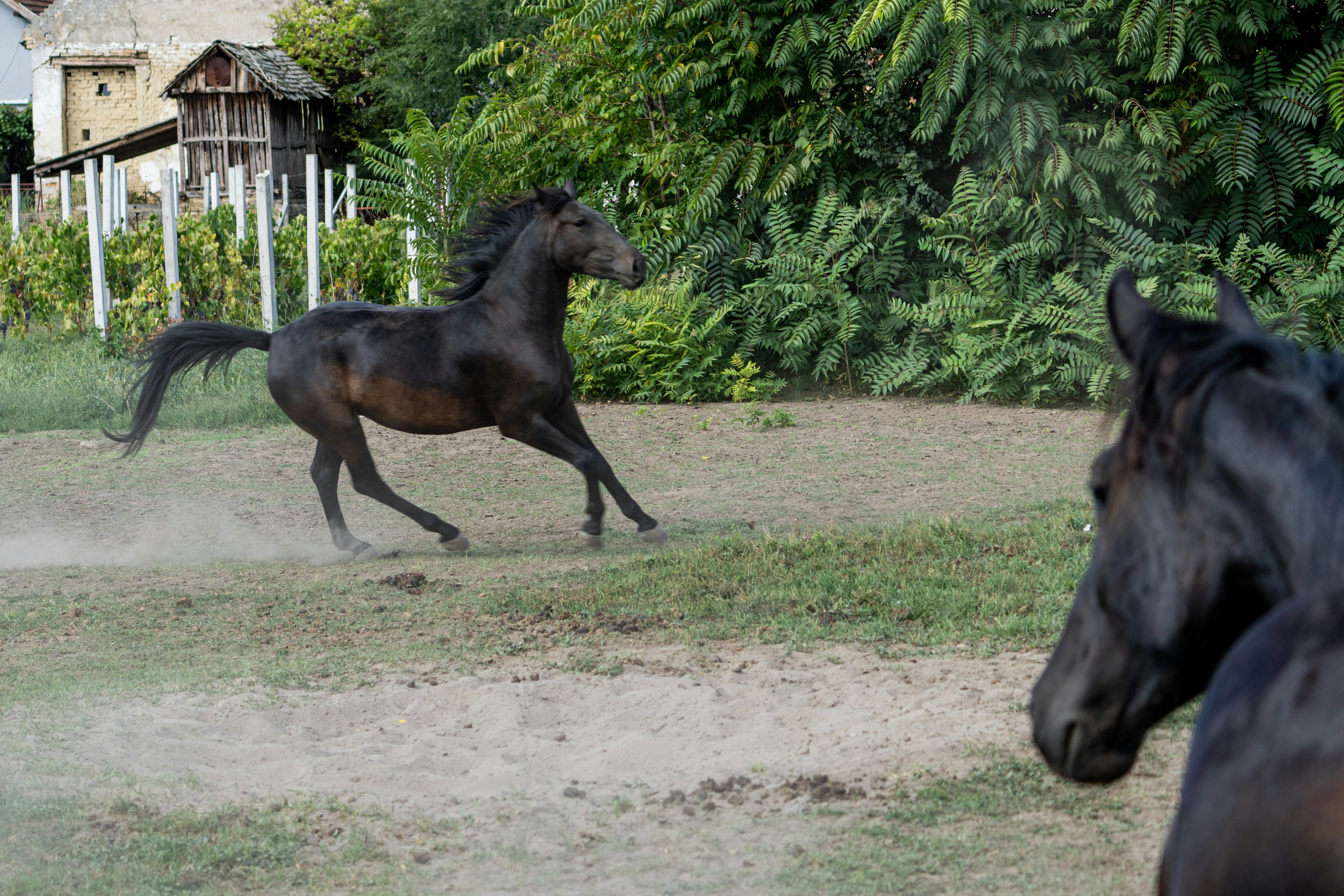 Photo by sinisalekovic