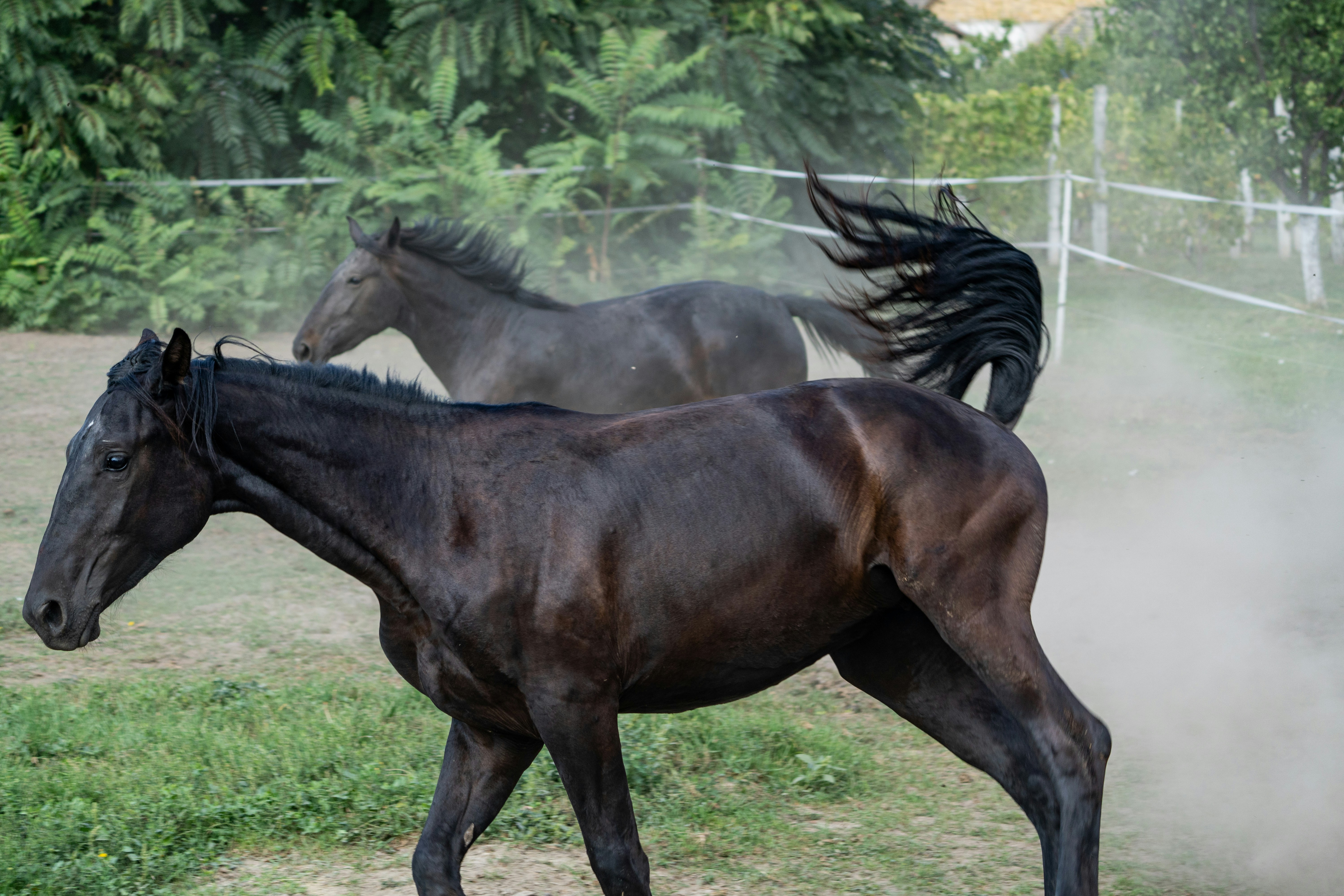 Adana’da Bugün At Yarışlarında Öne Çıkan İsimler - Spor haberi görseli