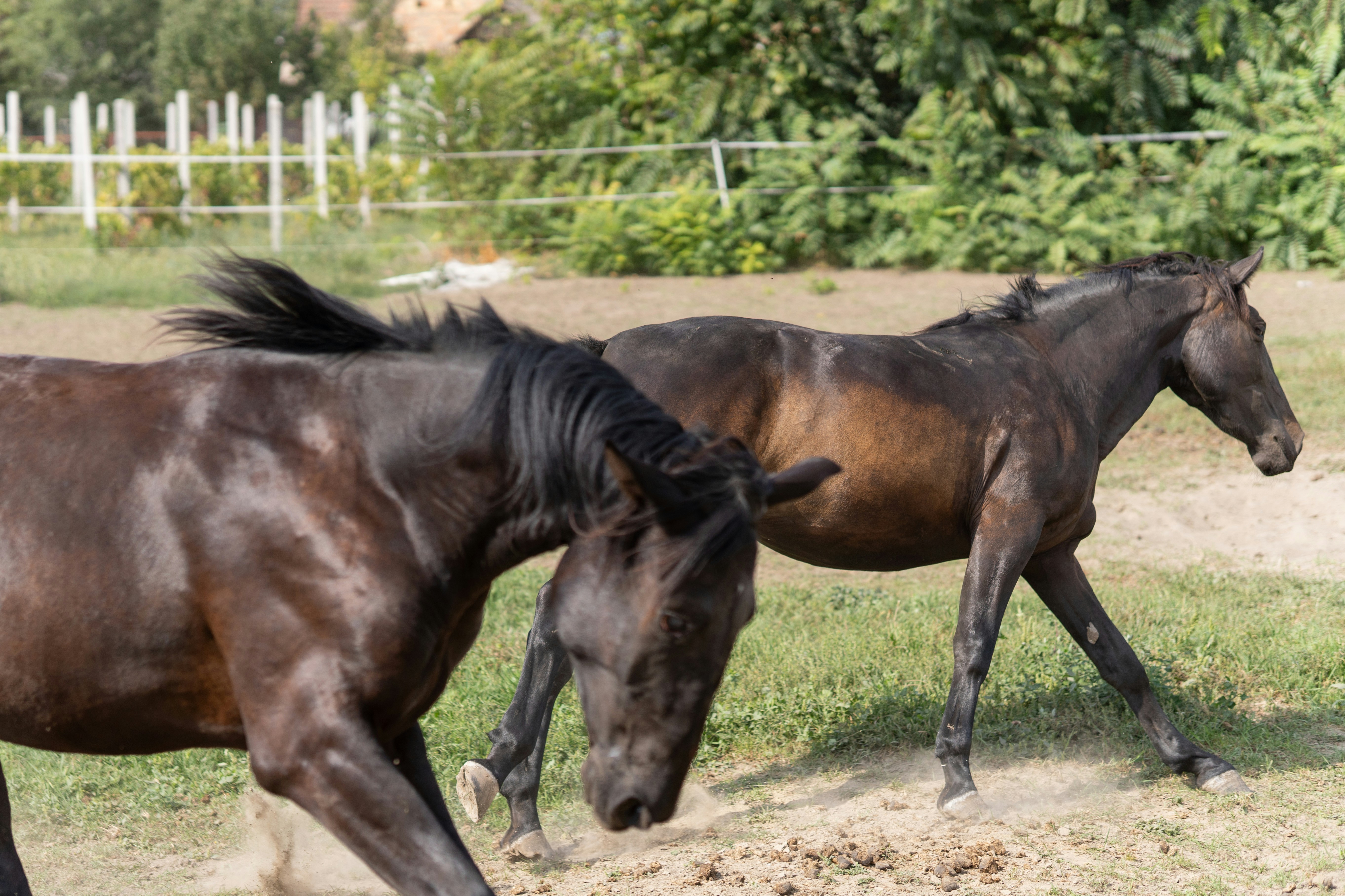 Photo by sinisalekovic