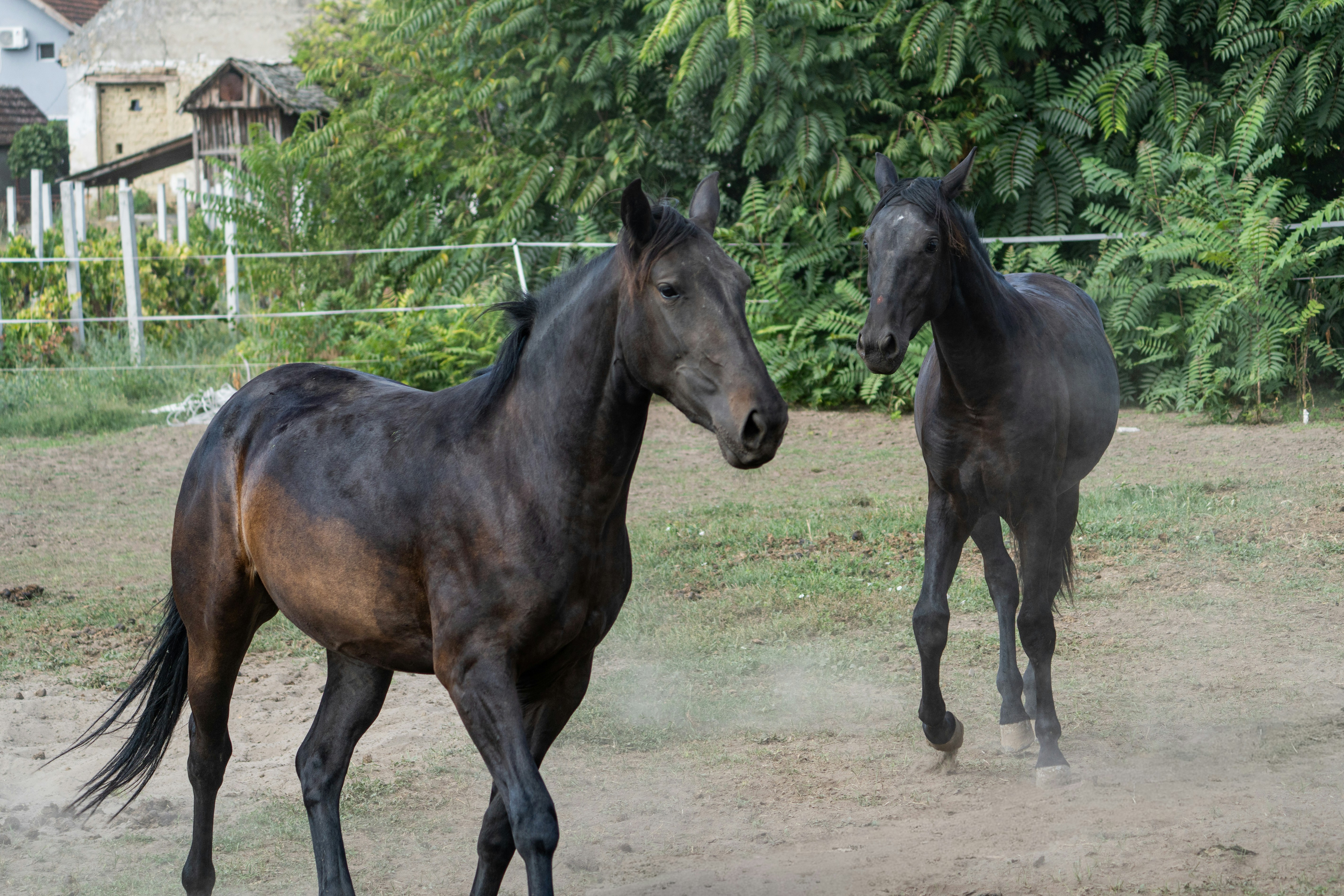 Photo by sinisalekovic