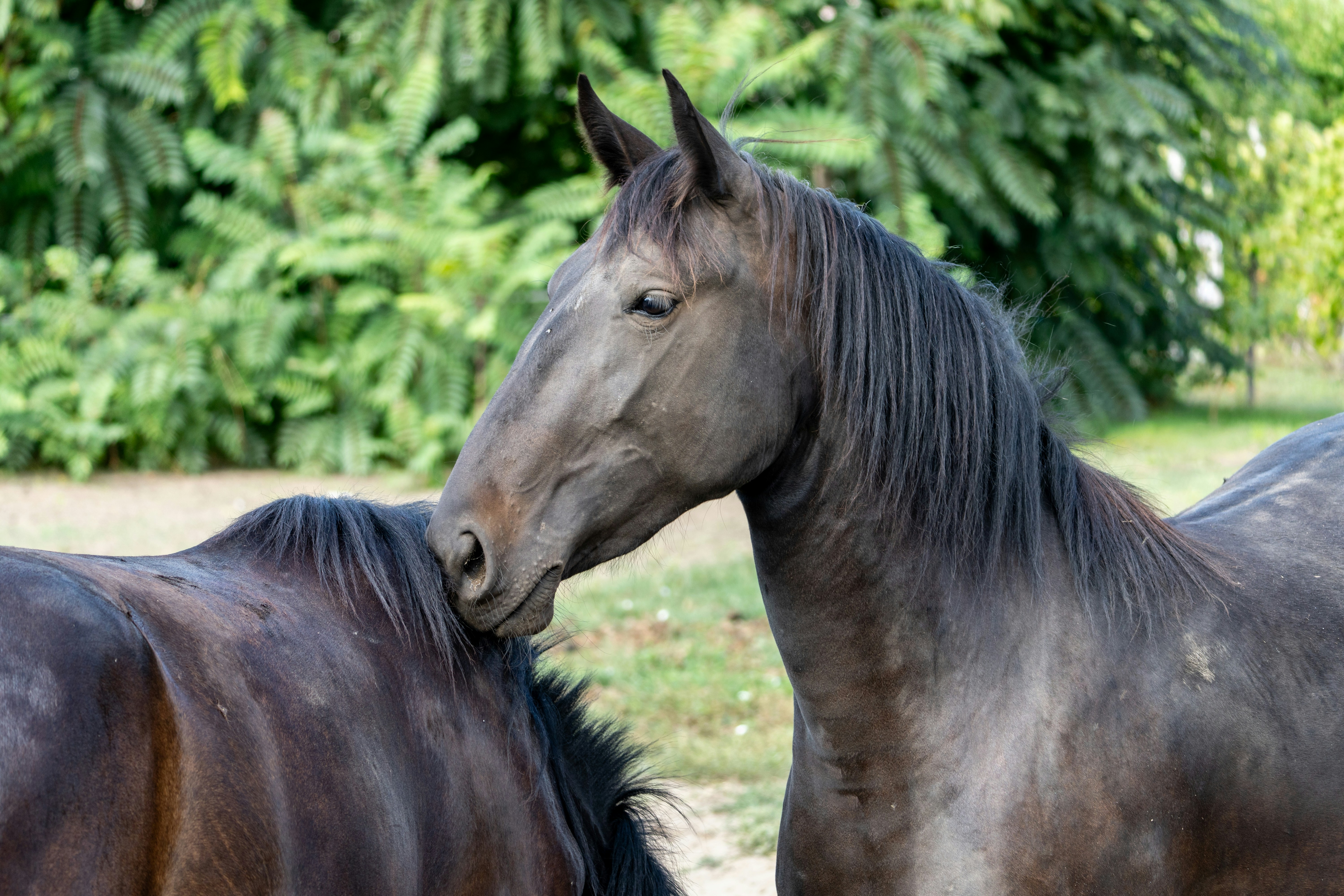 Photo by sinisalekovic