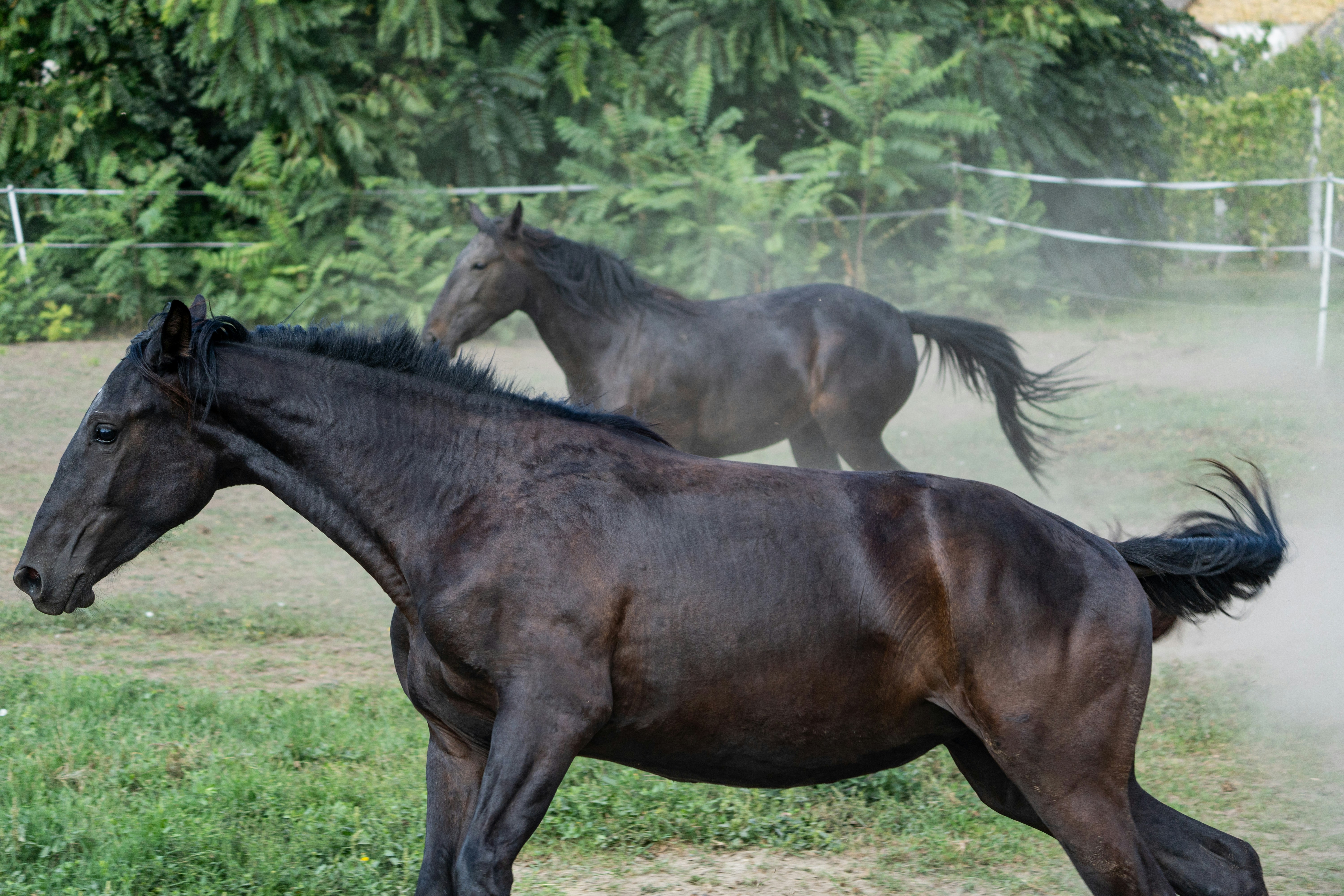 Photo by sinisalekovic