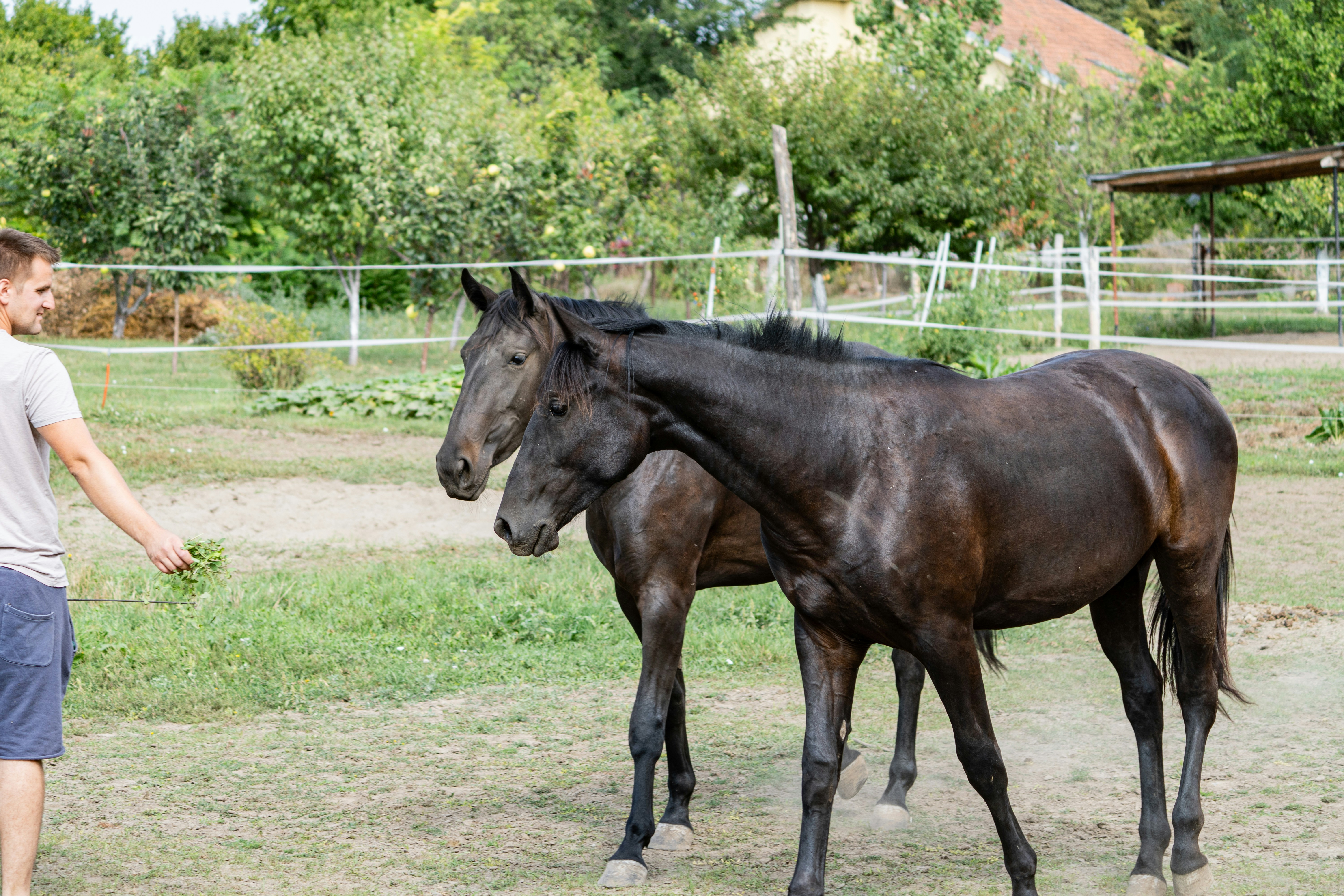 Photo by sinisalekovic