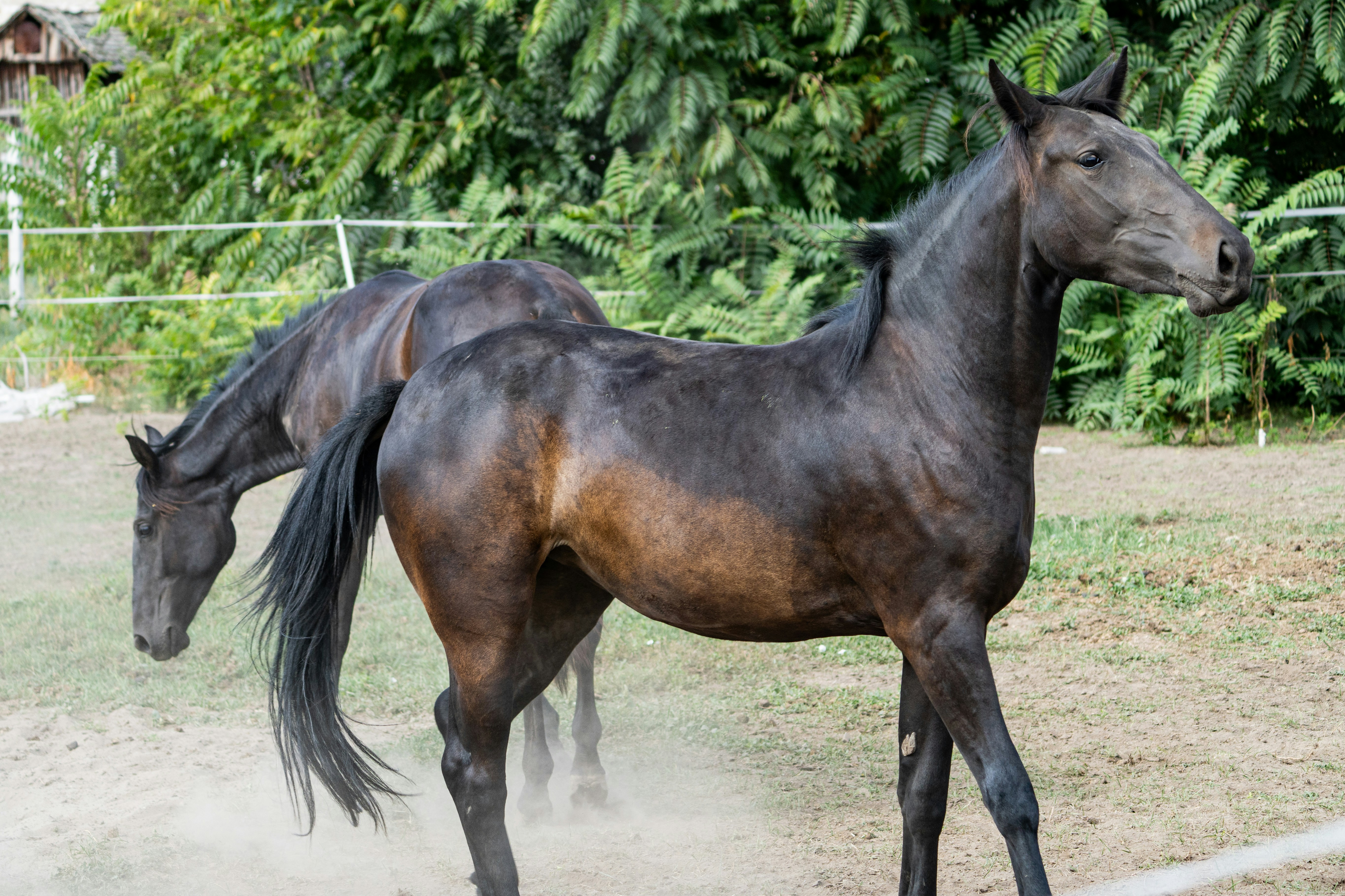 Photo by sinisalekovic