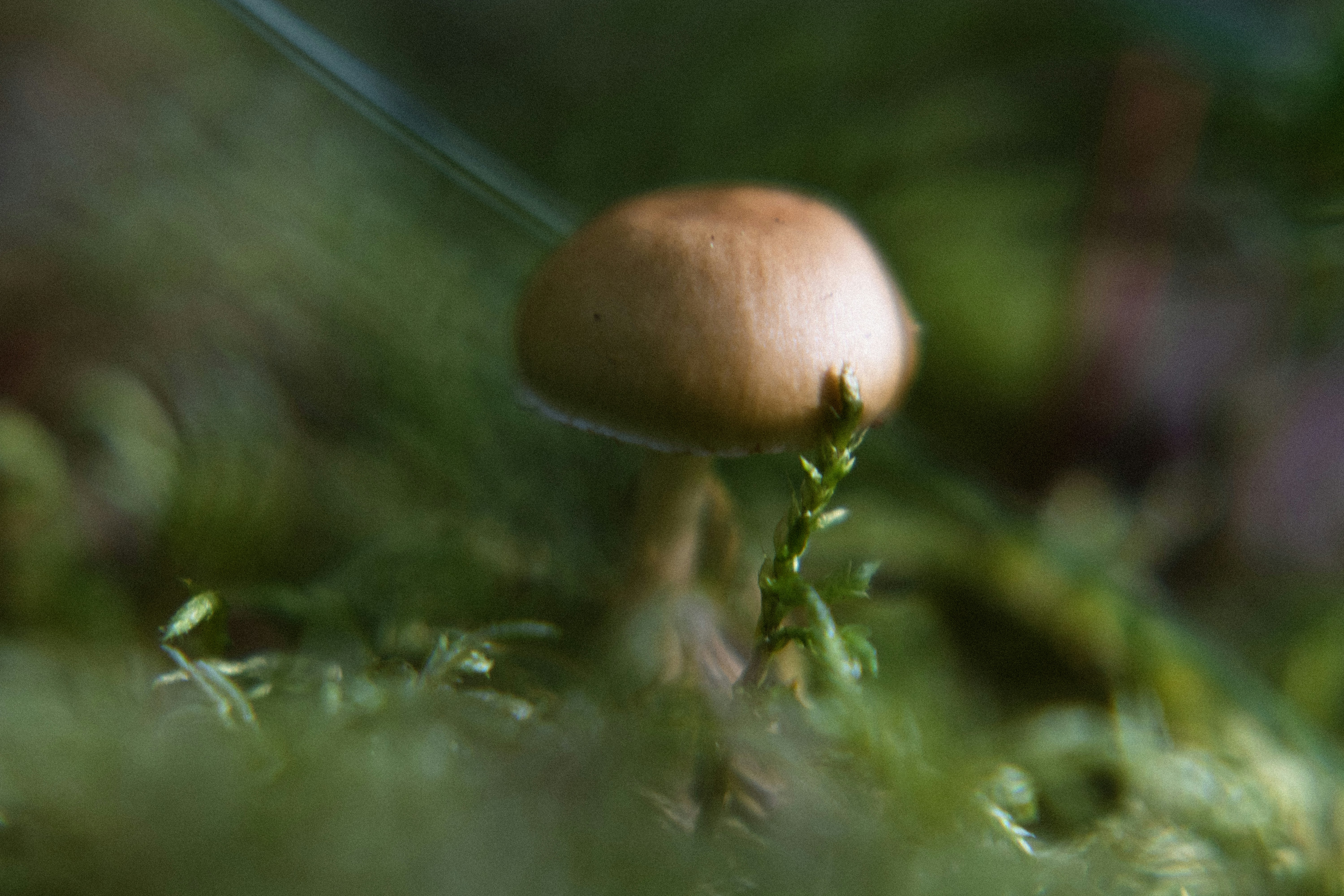 Breaking: Retail Flow Surge Drives Small-Cap Rebound — Q1 2026 Market Note