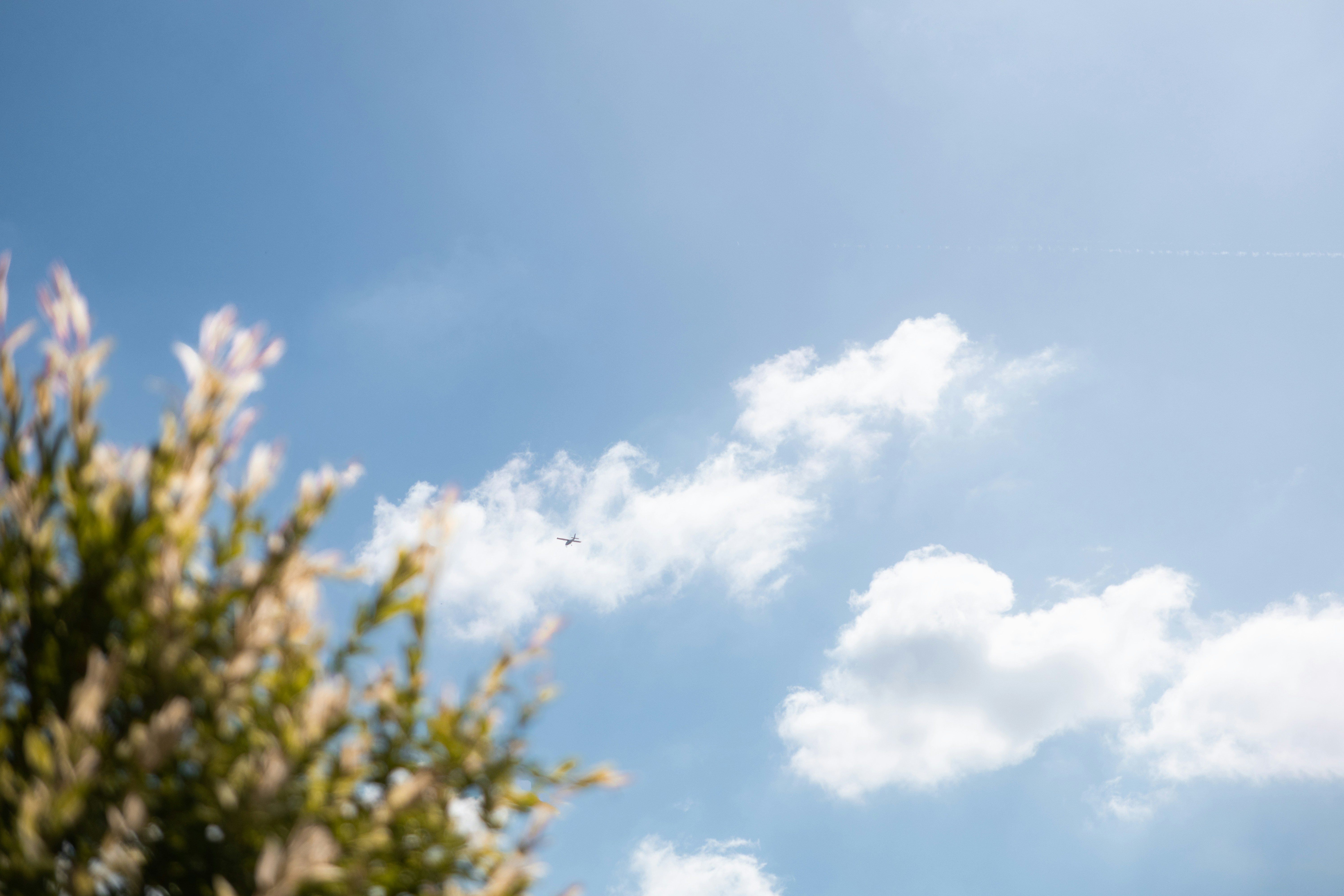 Photo by antycznyananas