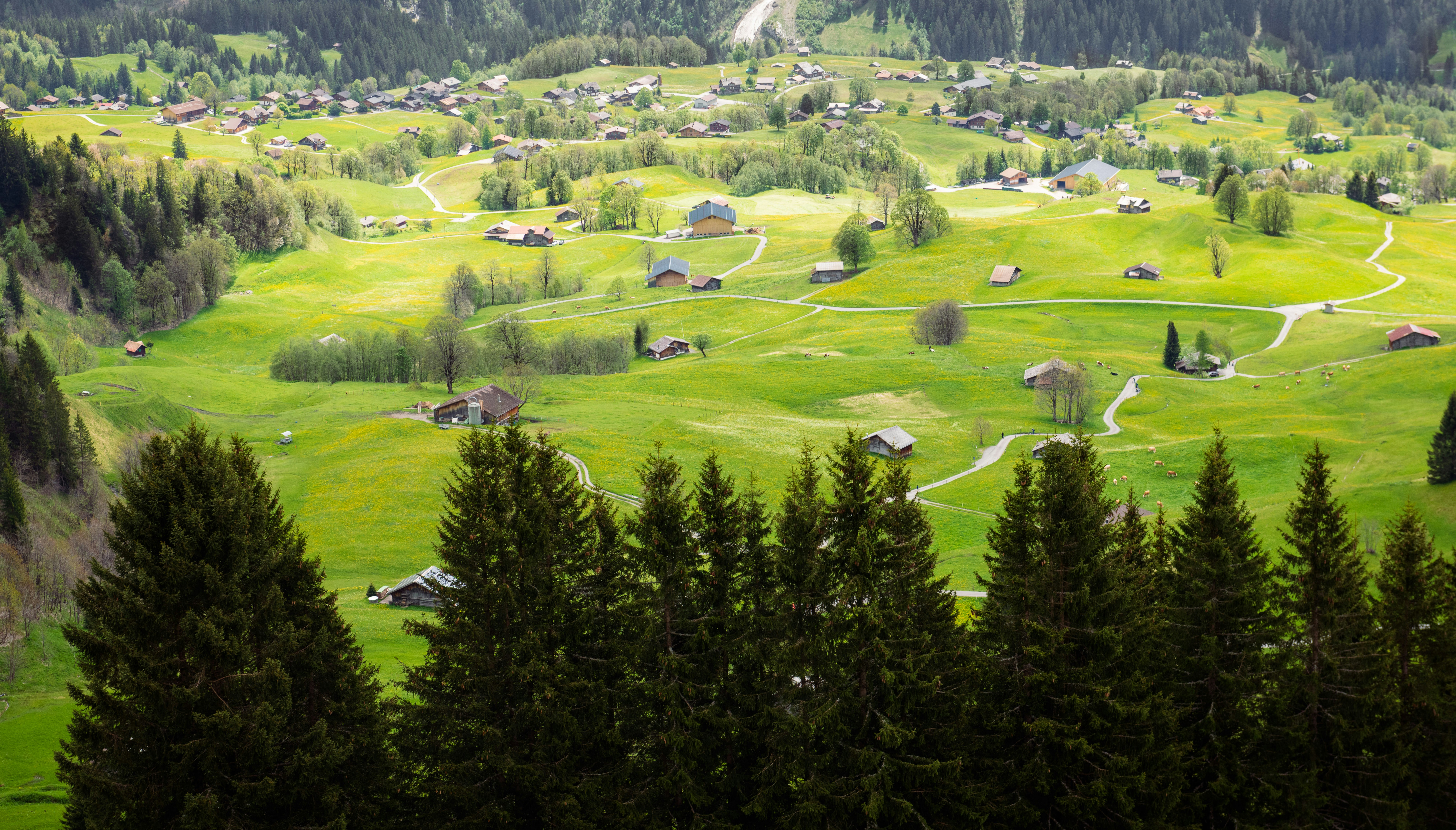 Photo by sriniunsplash
