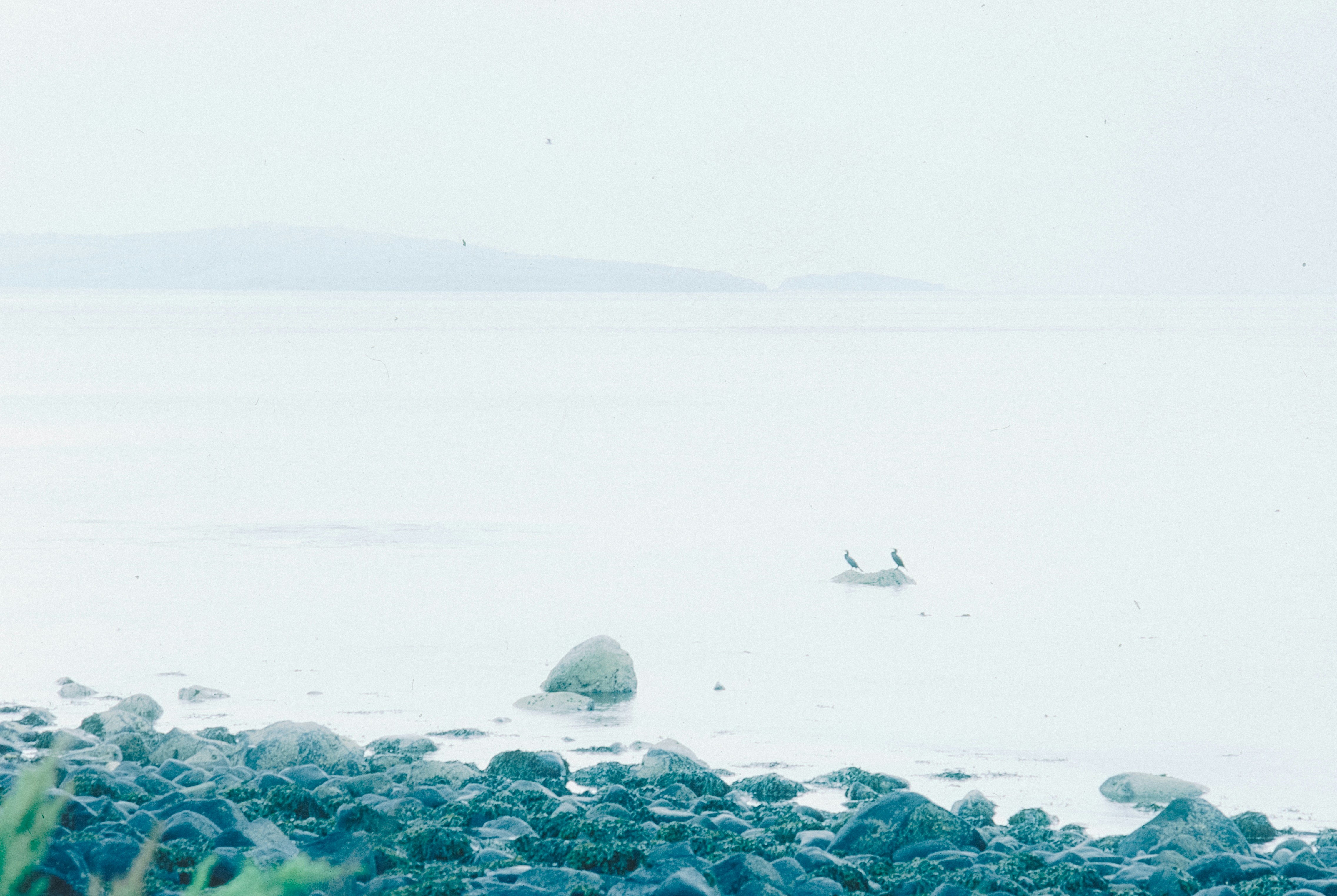 Photo by anniespratt