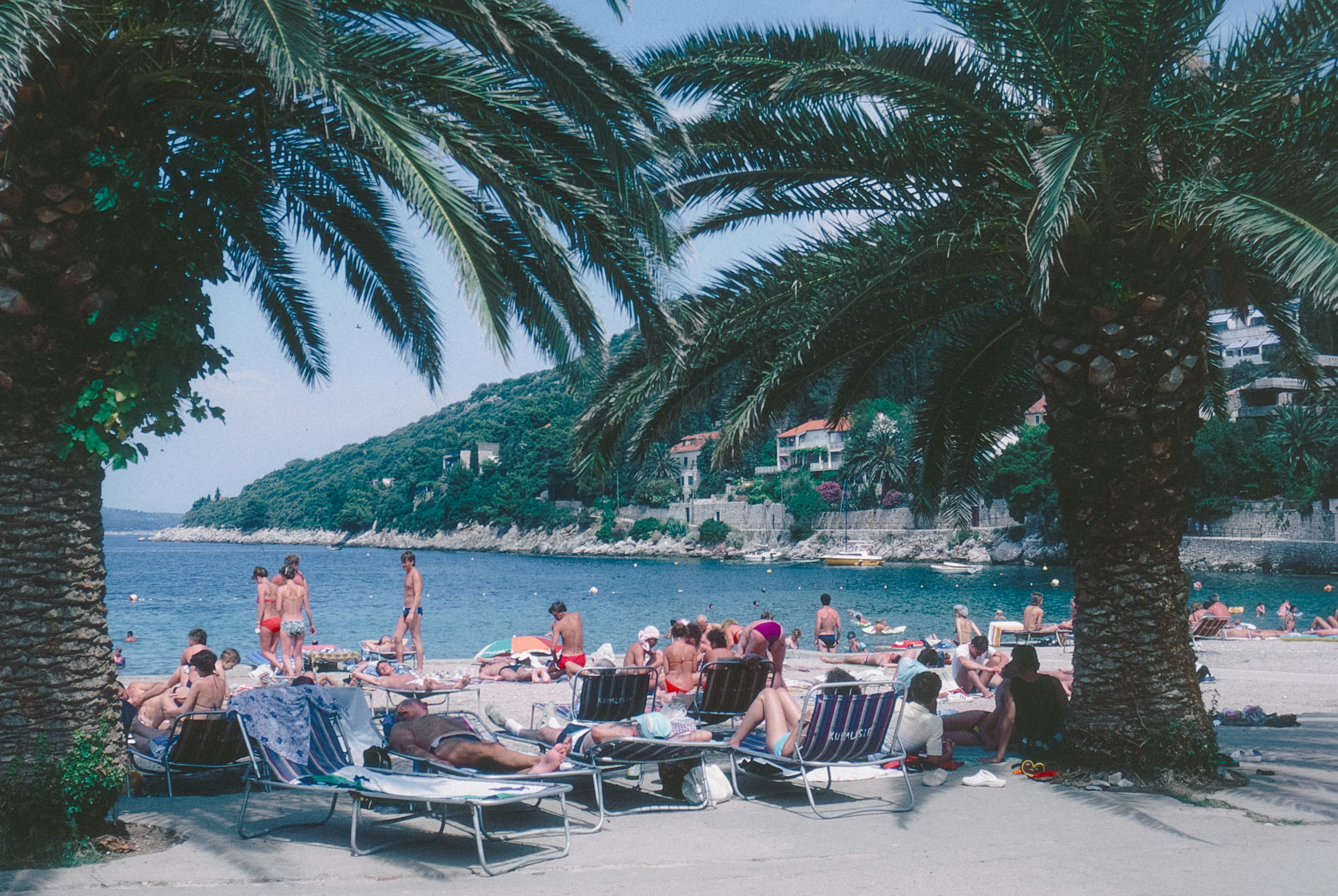 People relaxing on a sunny beach with palm trees.