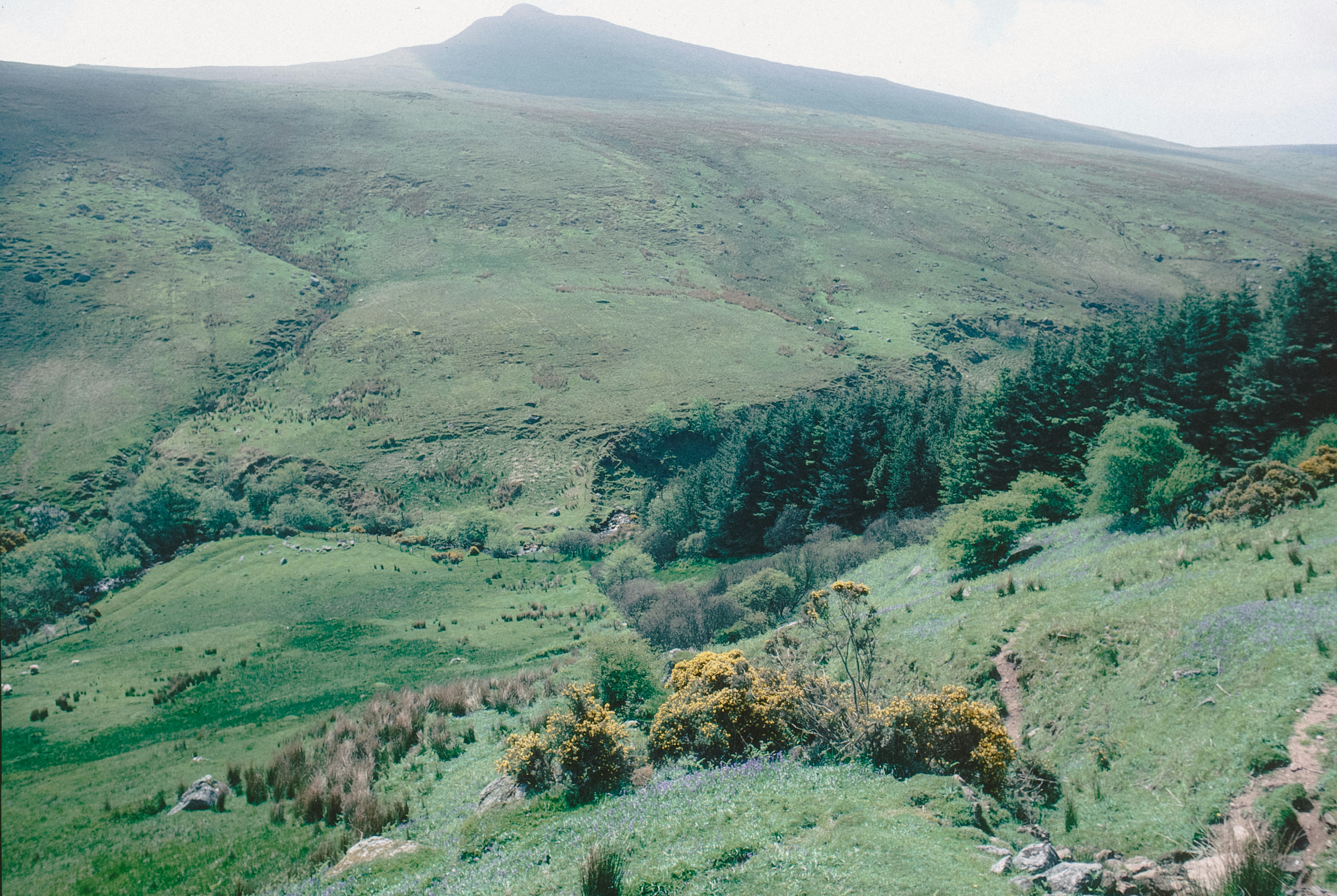 Photo by anniespratt