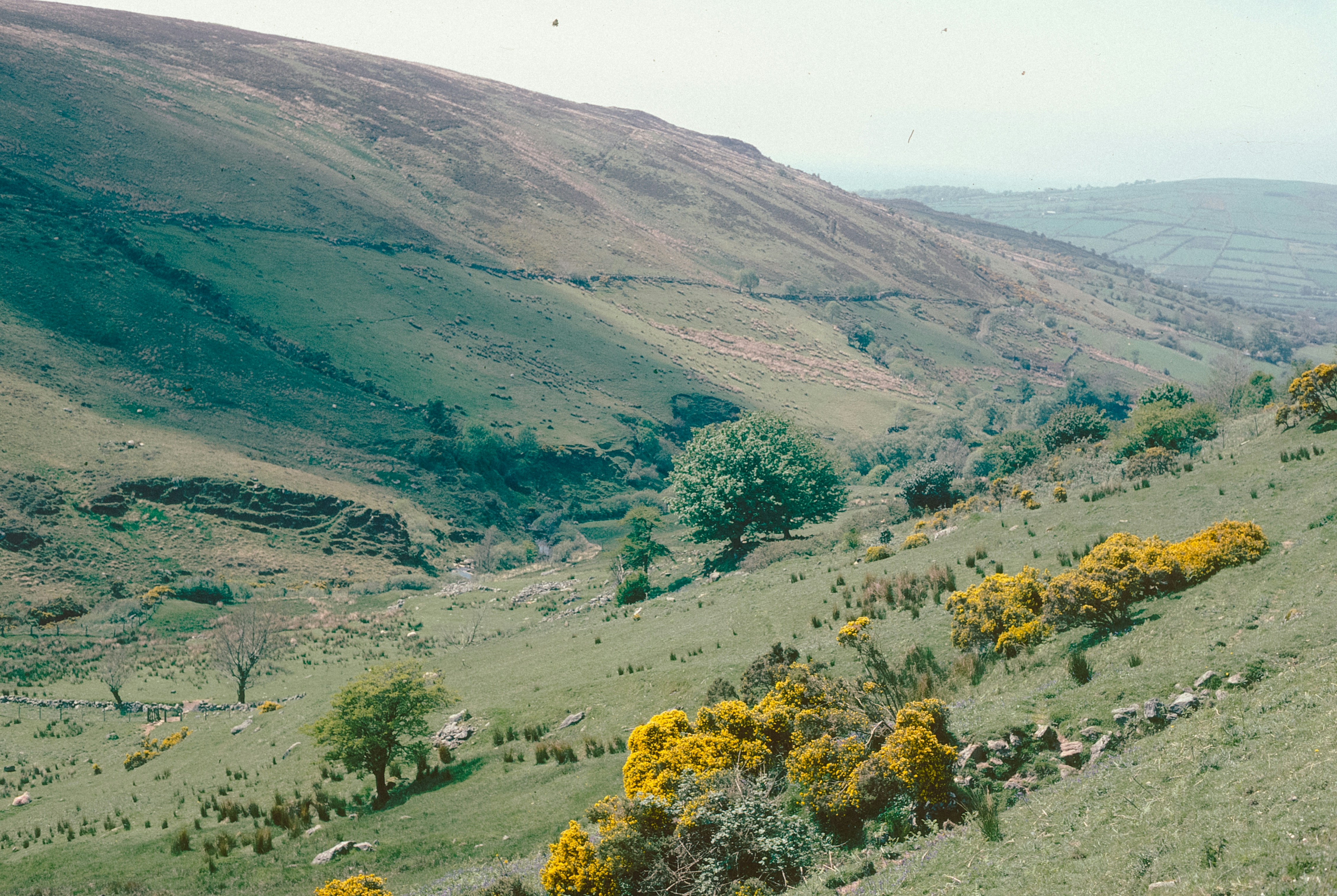 Photo by anniespratt