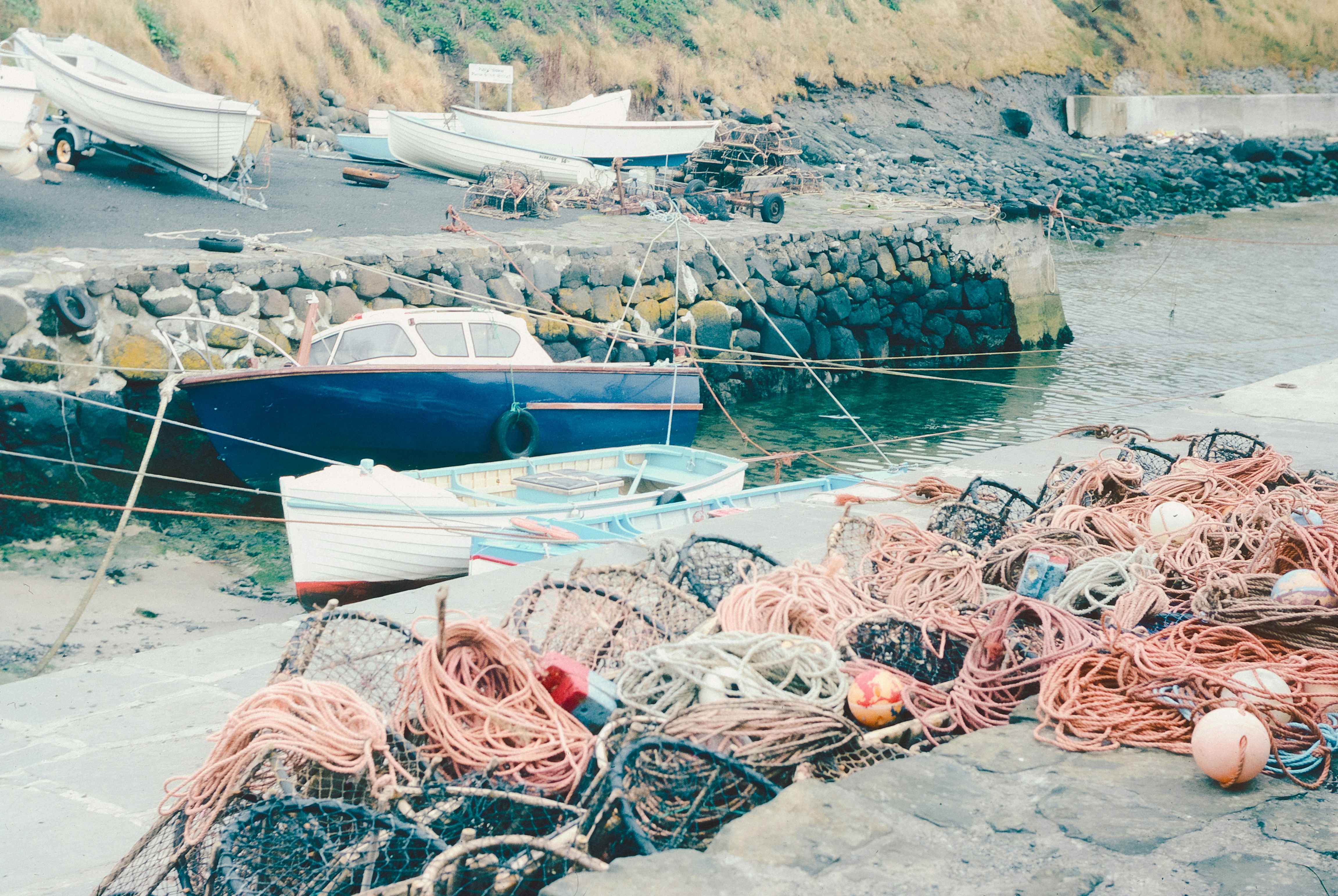 Photo by anniespratt